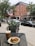 A small outdoor café table holds a sandwich on a plate and an iced coffee. The scene is set on a city sidewalk with nearby shops, vehicles parked on the street, and an American flag draped from a building. Leafy green trees frame the setting, and there are hanging flower baskets along the street.