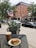 A small outdoor café table holds a sandwich on a plate and an iced coffee. The scene is set on a city sidewalk with nearby shops, vehicles parked on the street, and an American flag draped from a building. Leafy green trees frame the setting, and there are hanging flower baskets along the street.
