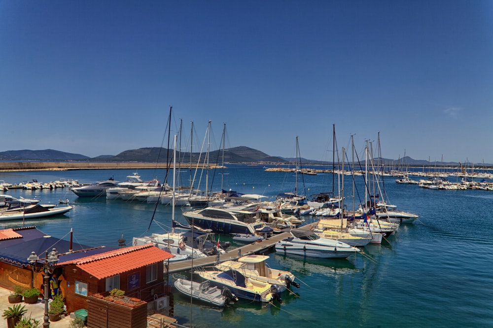 a marina full of boats