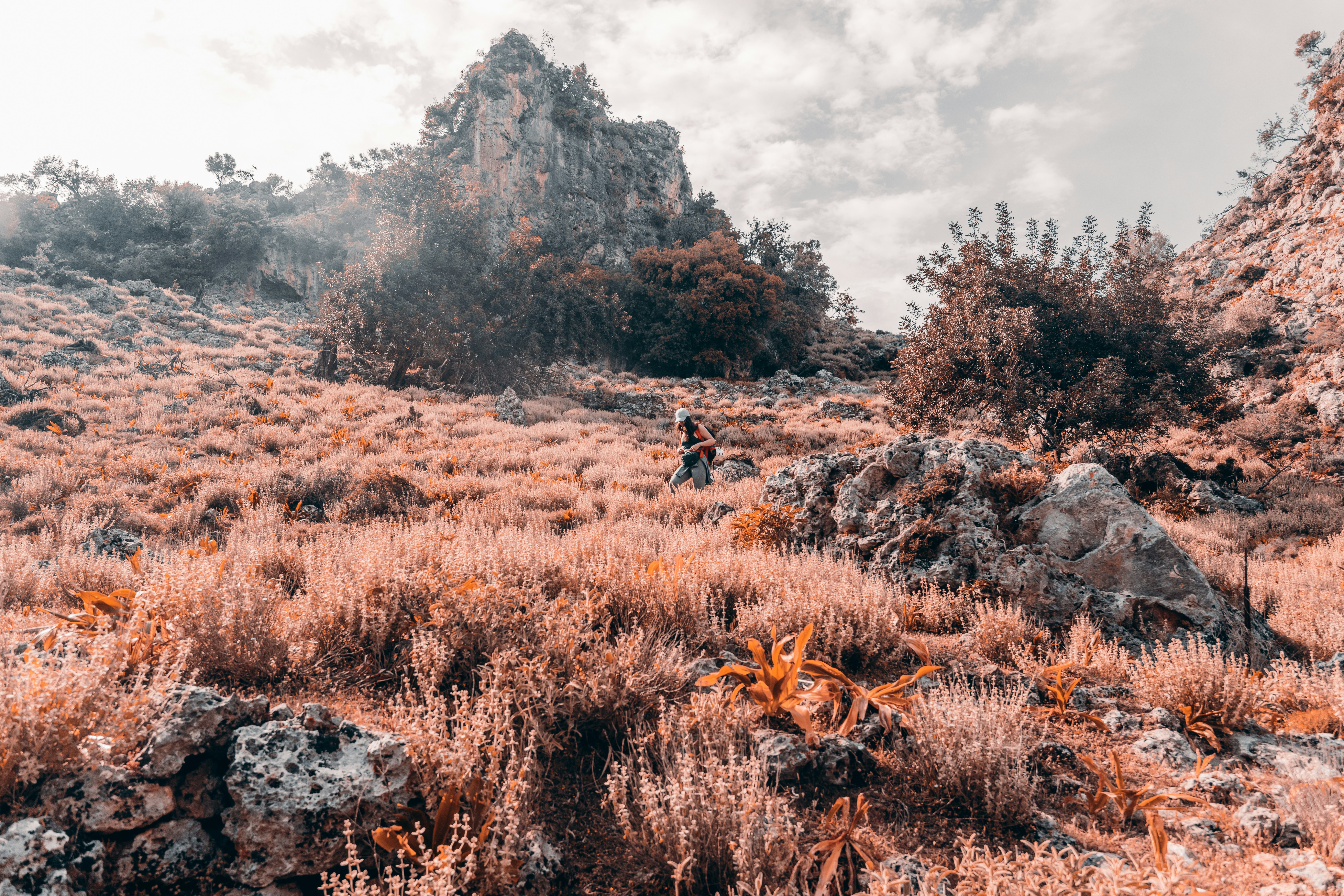 a person walking on a trail in the mountains