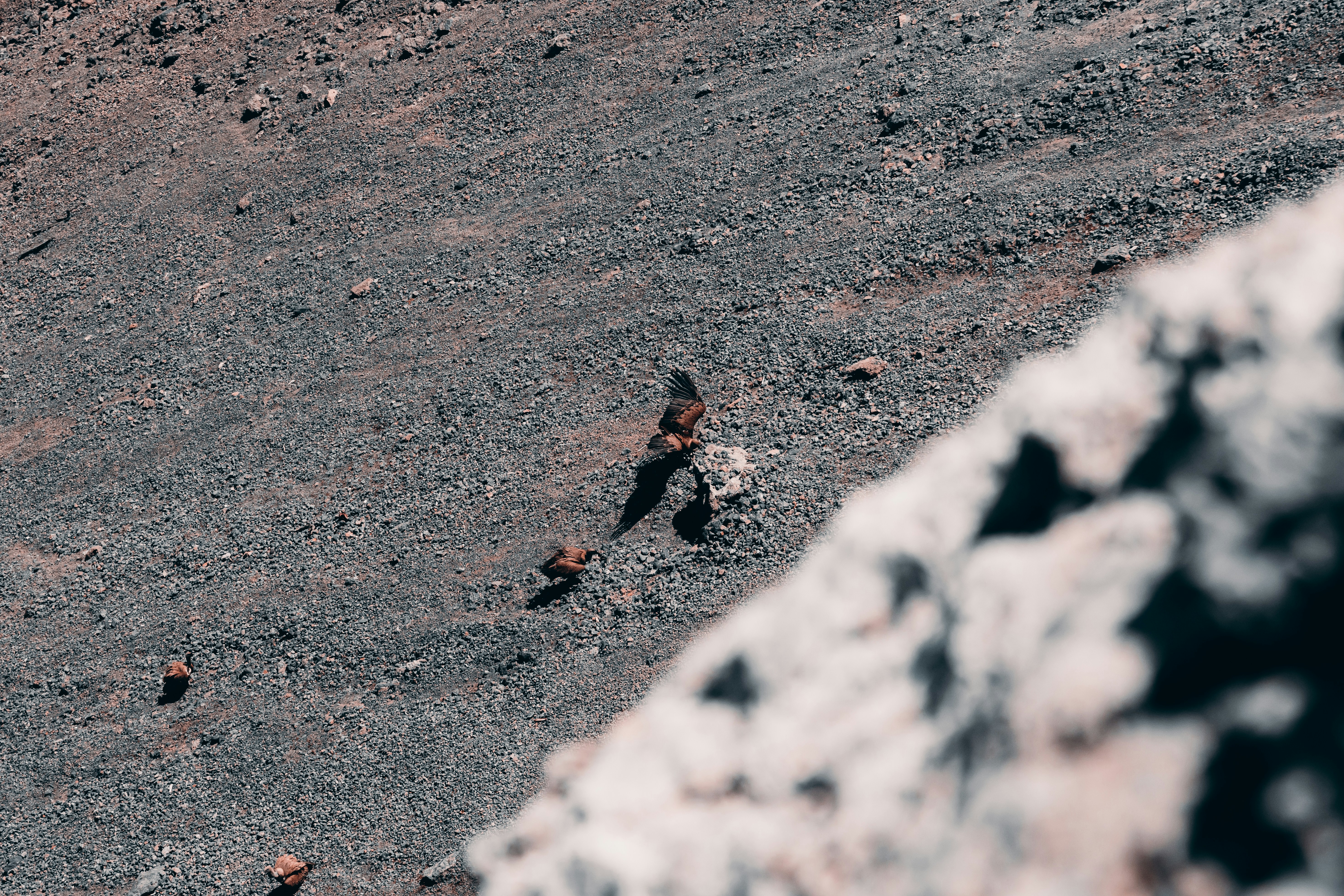 a person walking on a road