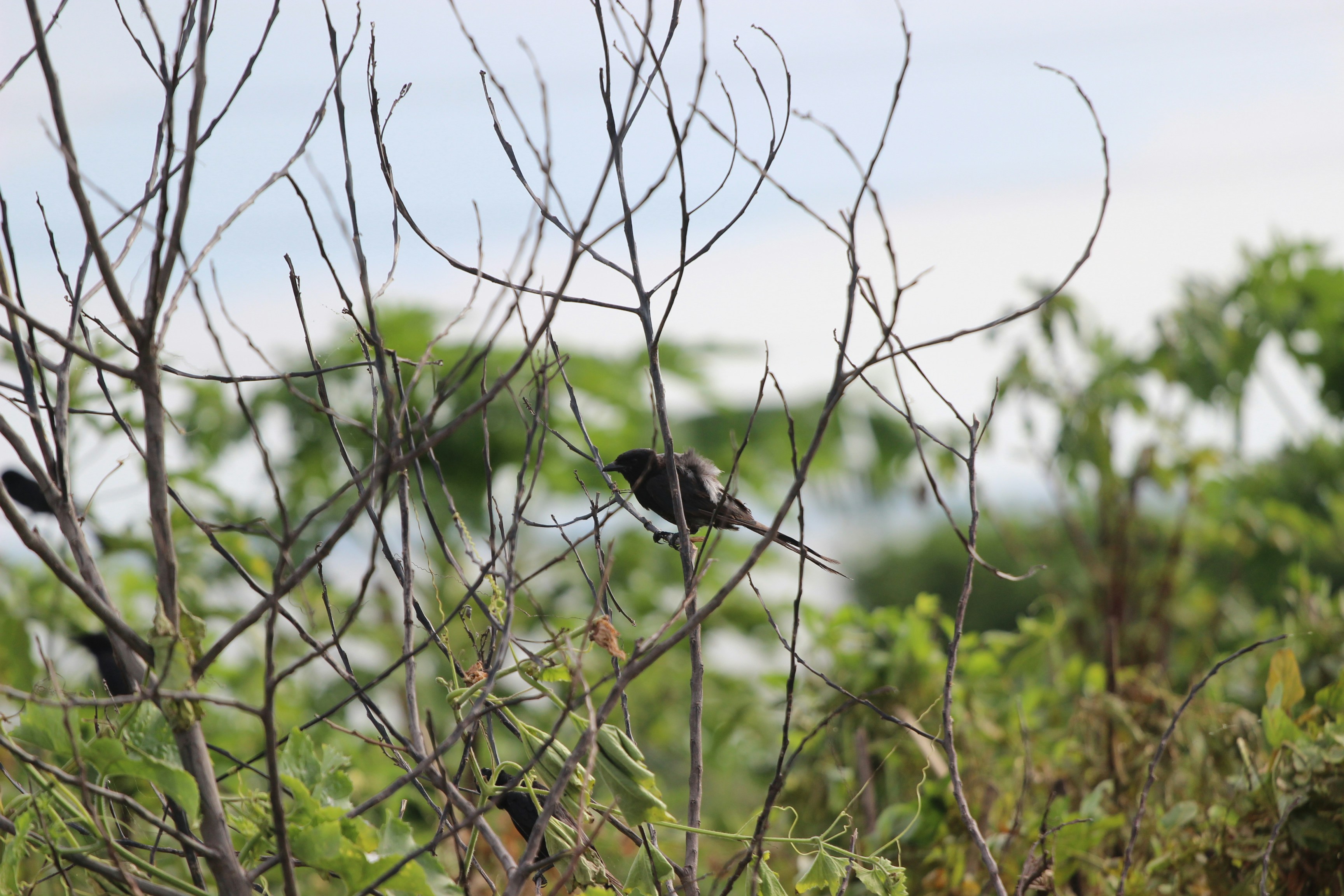 Photo by creativepoka