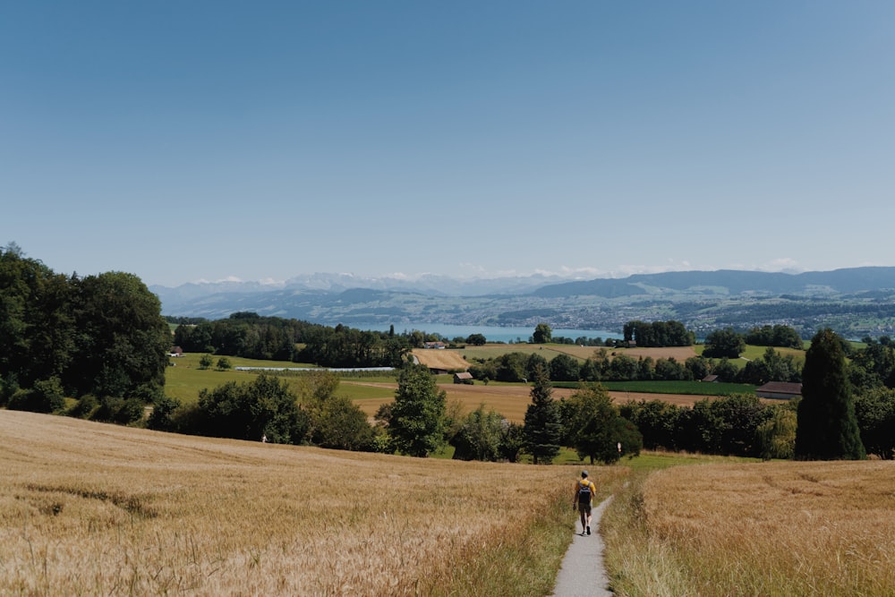 a large green field with trees in the background