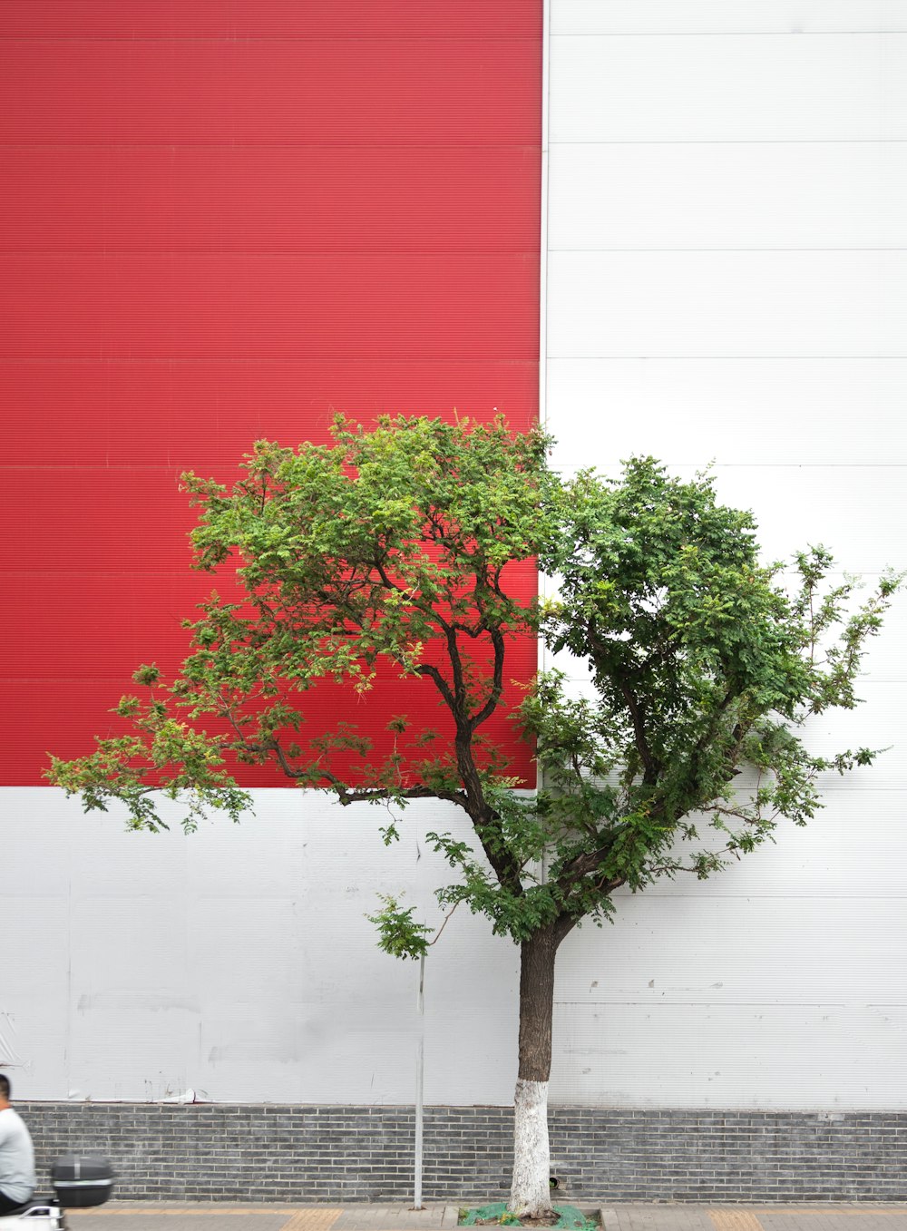 a tree in front of a building