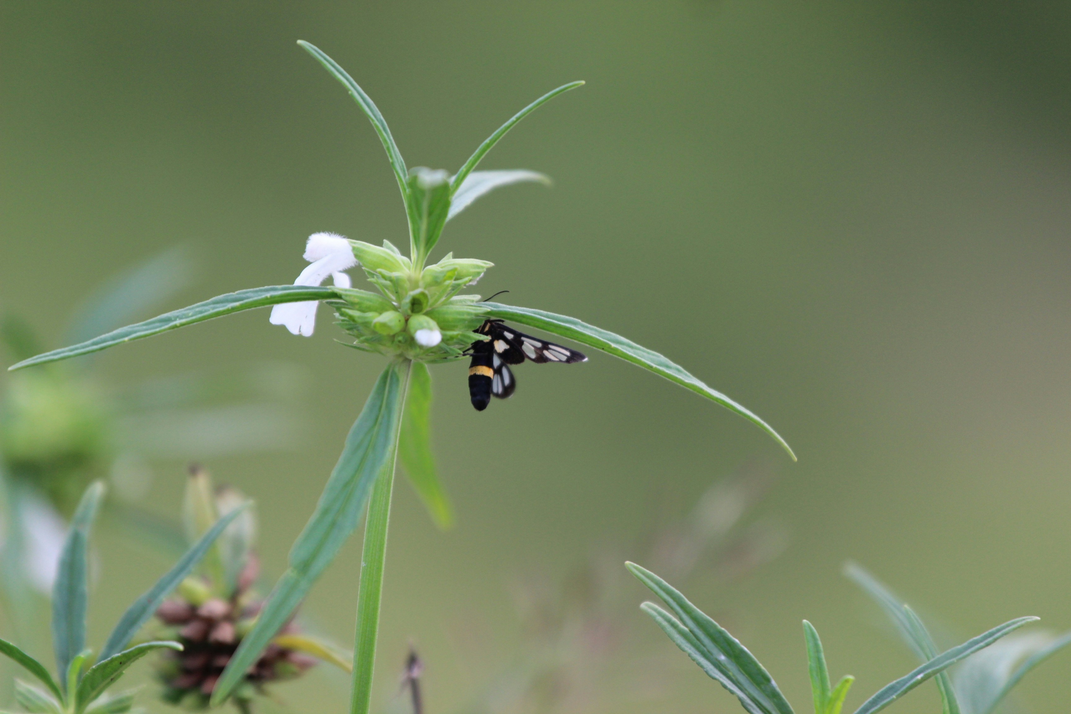 Photo by creativepoka