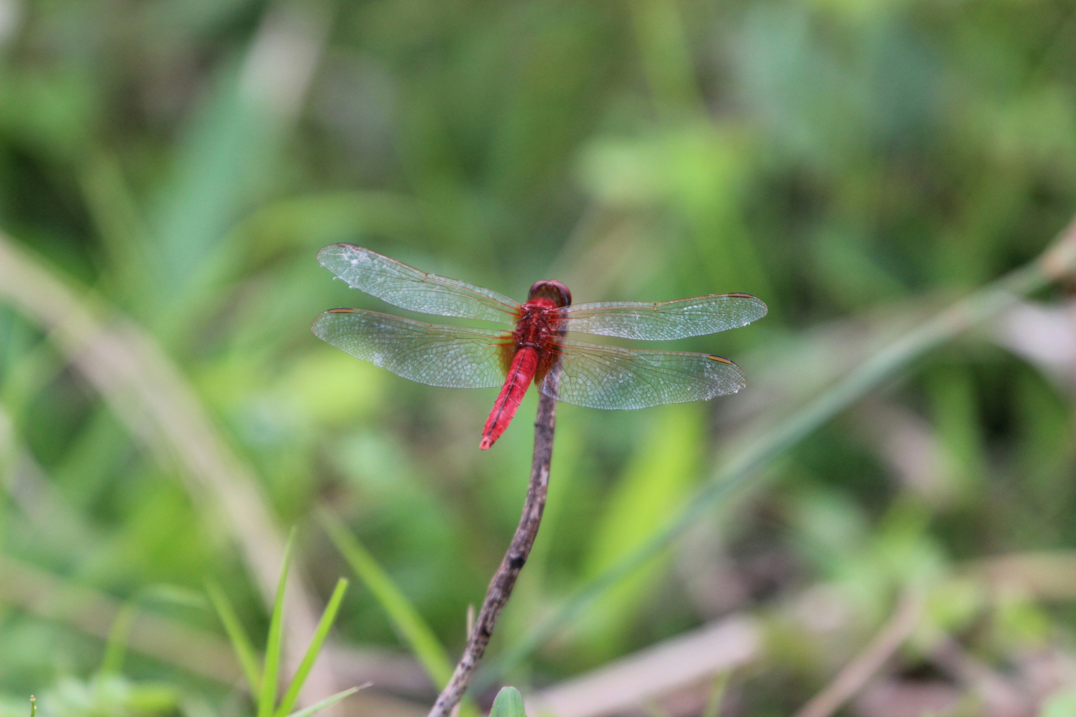 Photo by creativepoka