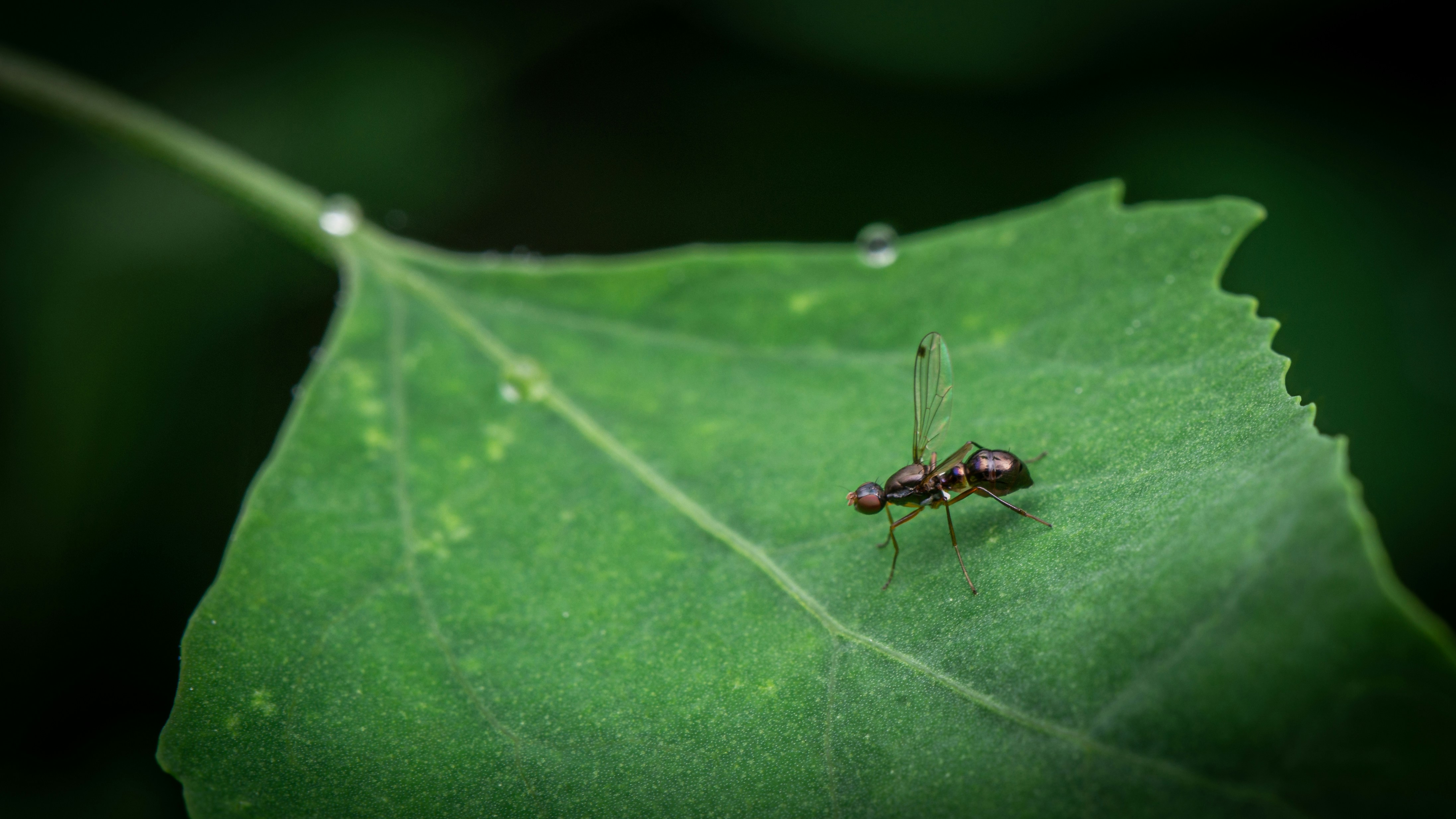 Photo by peek_a_boo_who