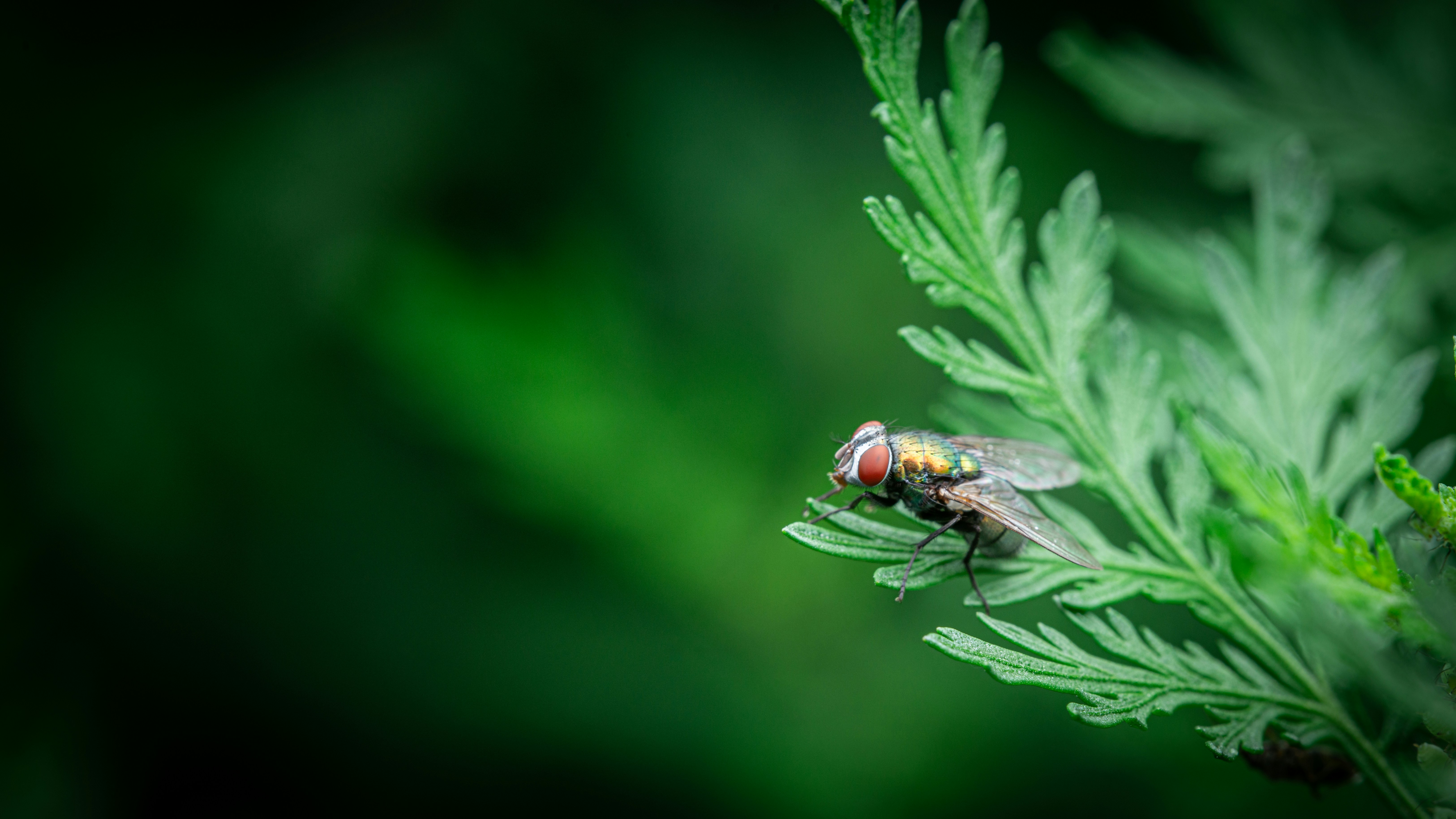 Photo by peek_a_boo_who