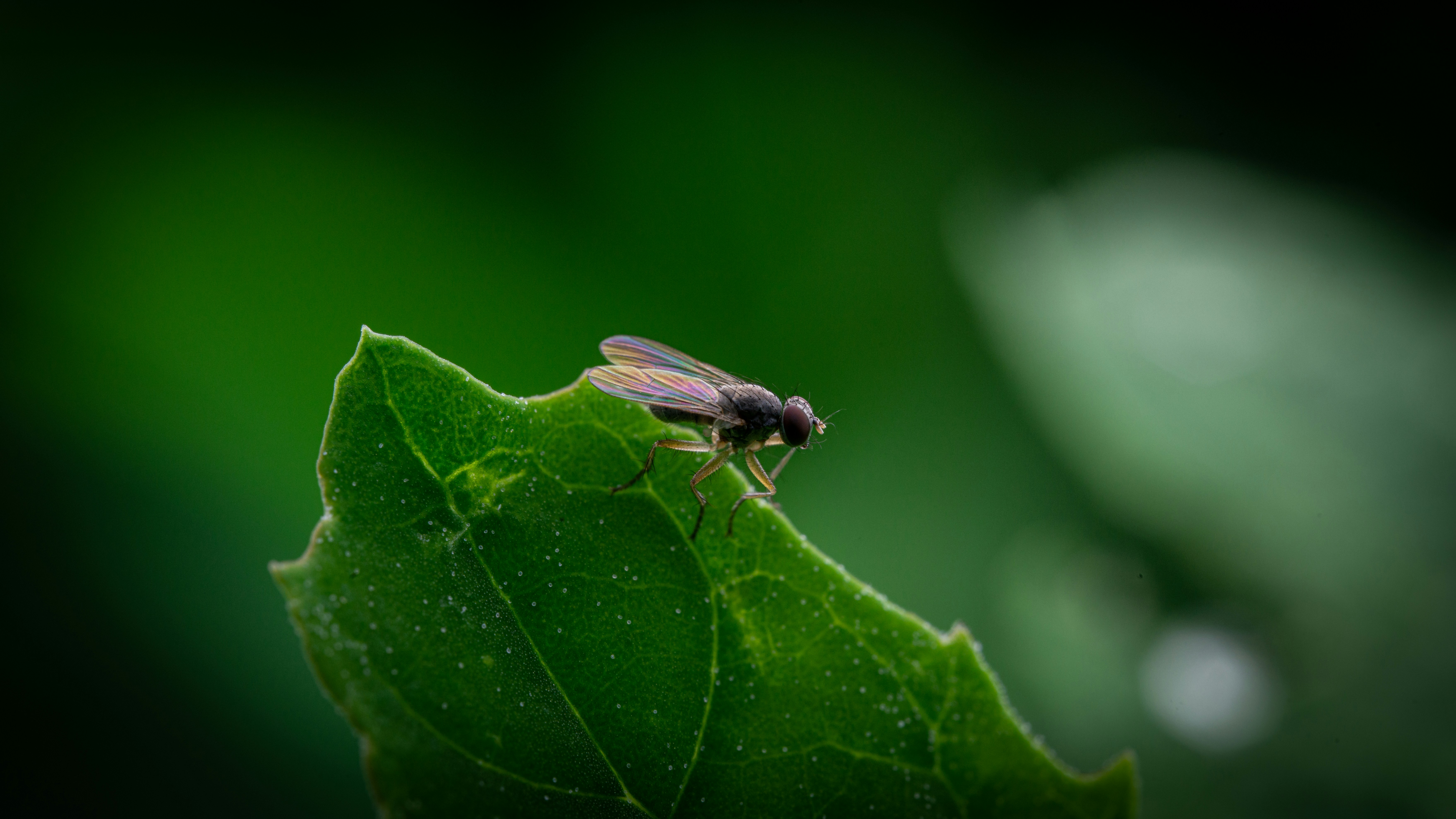 Photo by peek_a_boo_who