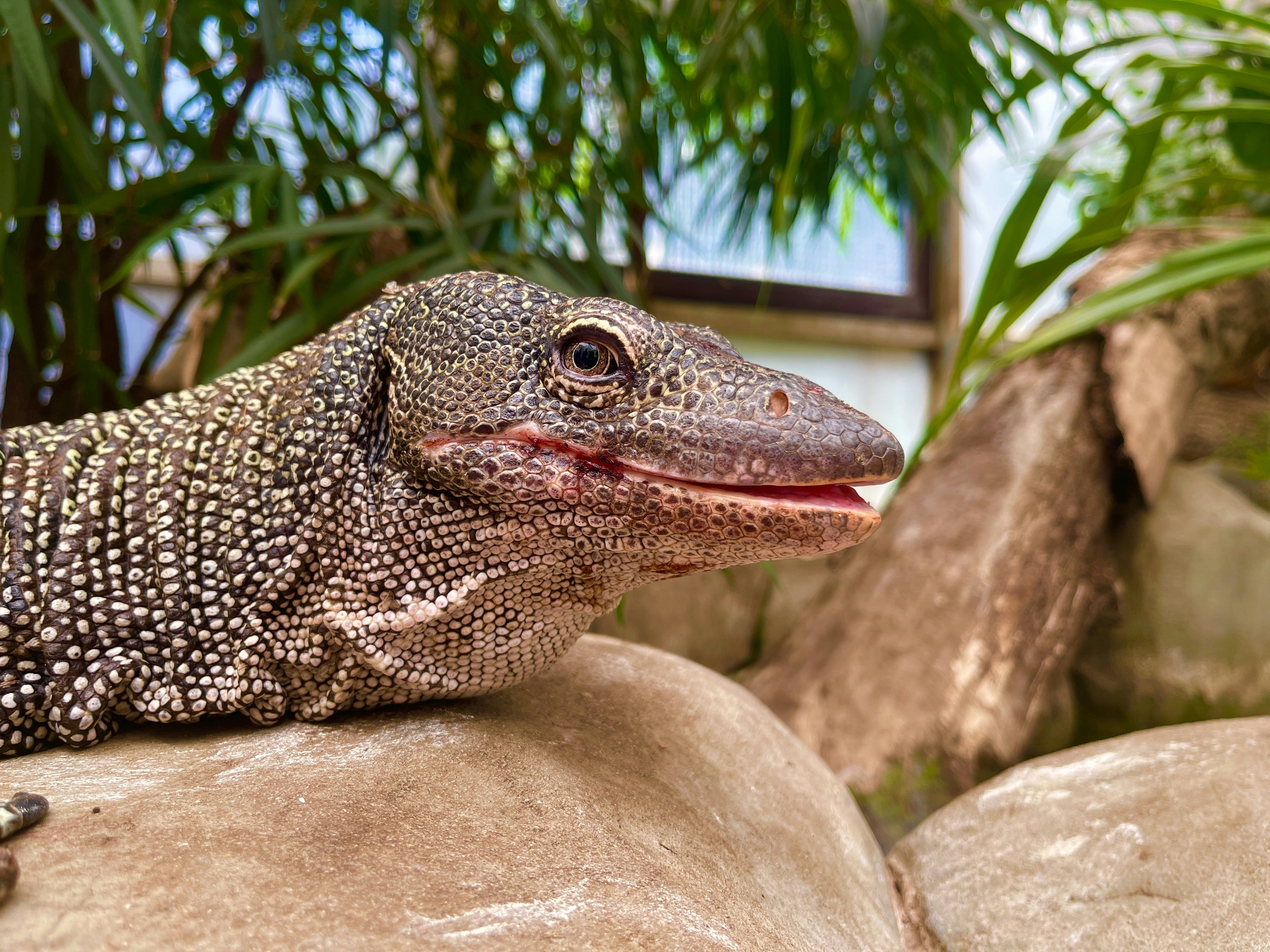 Photo by _jeremiah85_