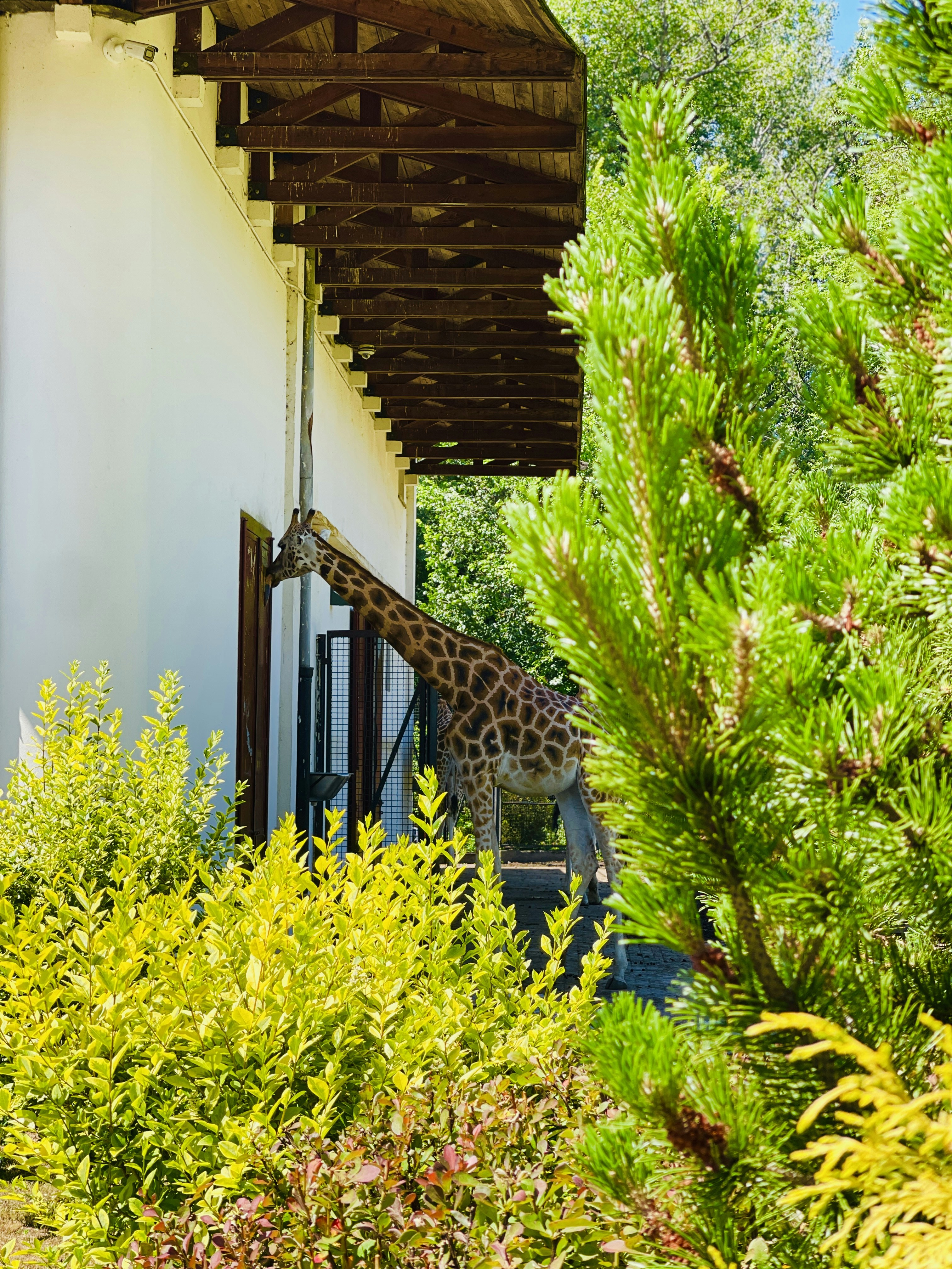 Photo by _jeremiah85_