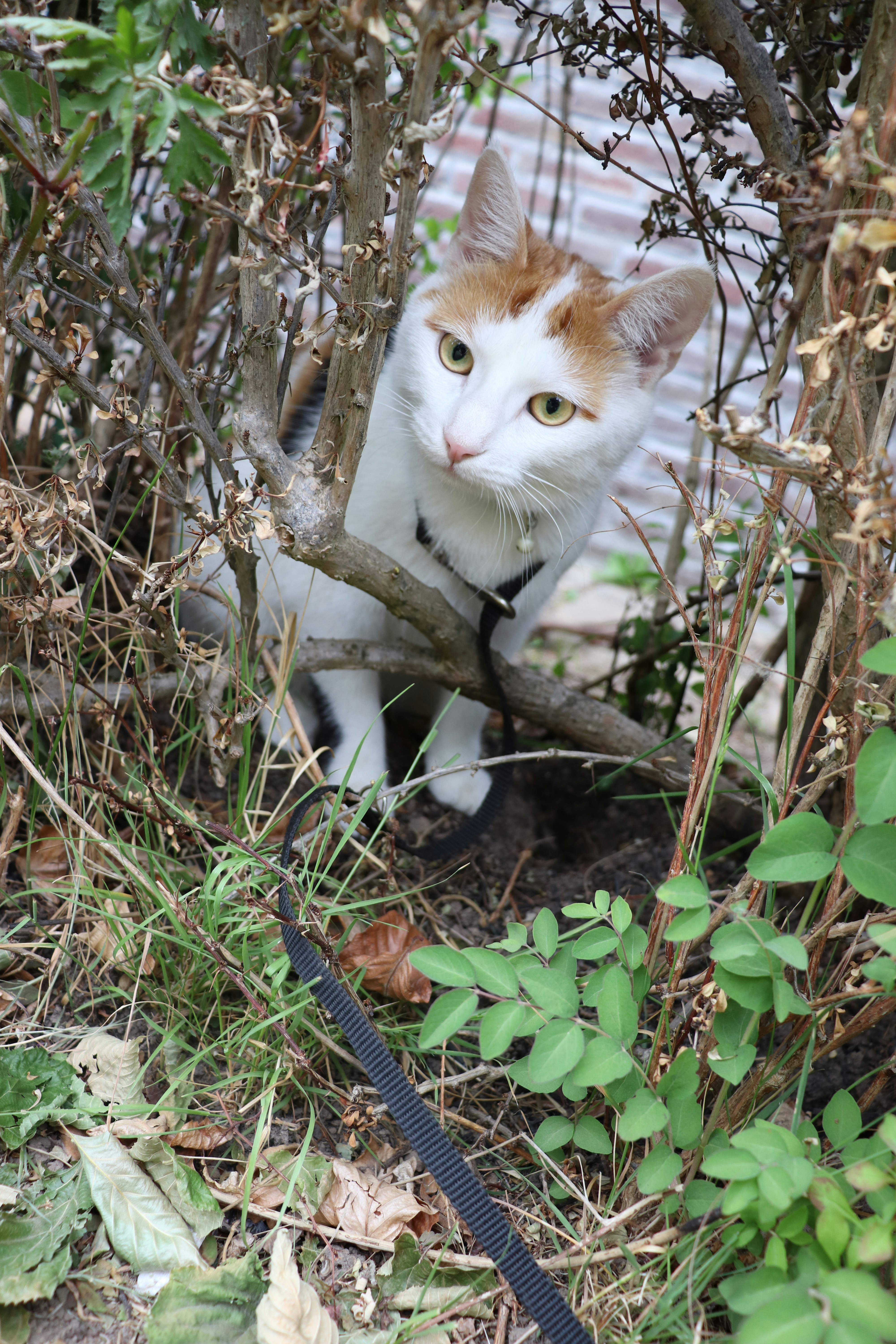 Photo by femkebeirens