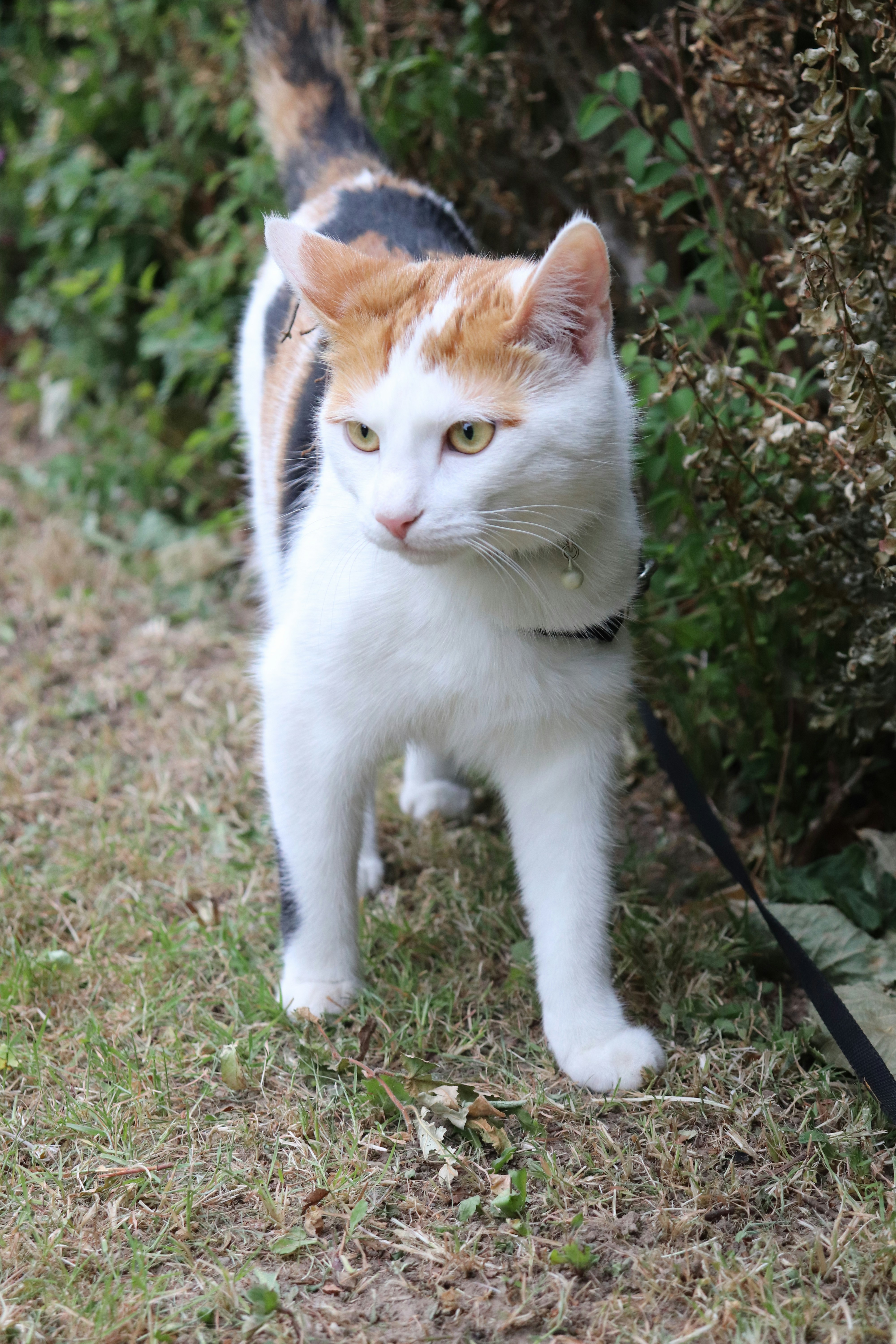 Photo by femkebeirens