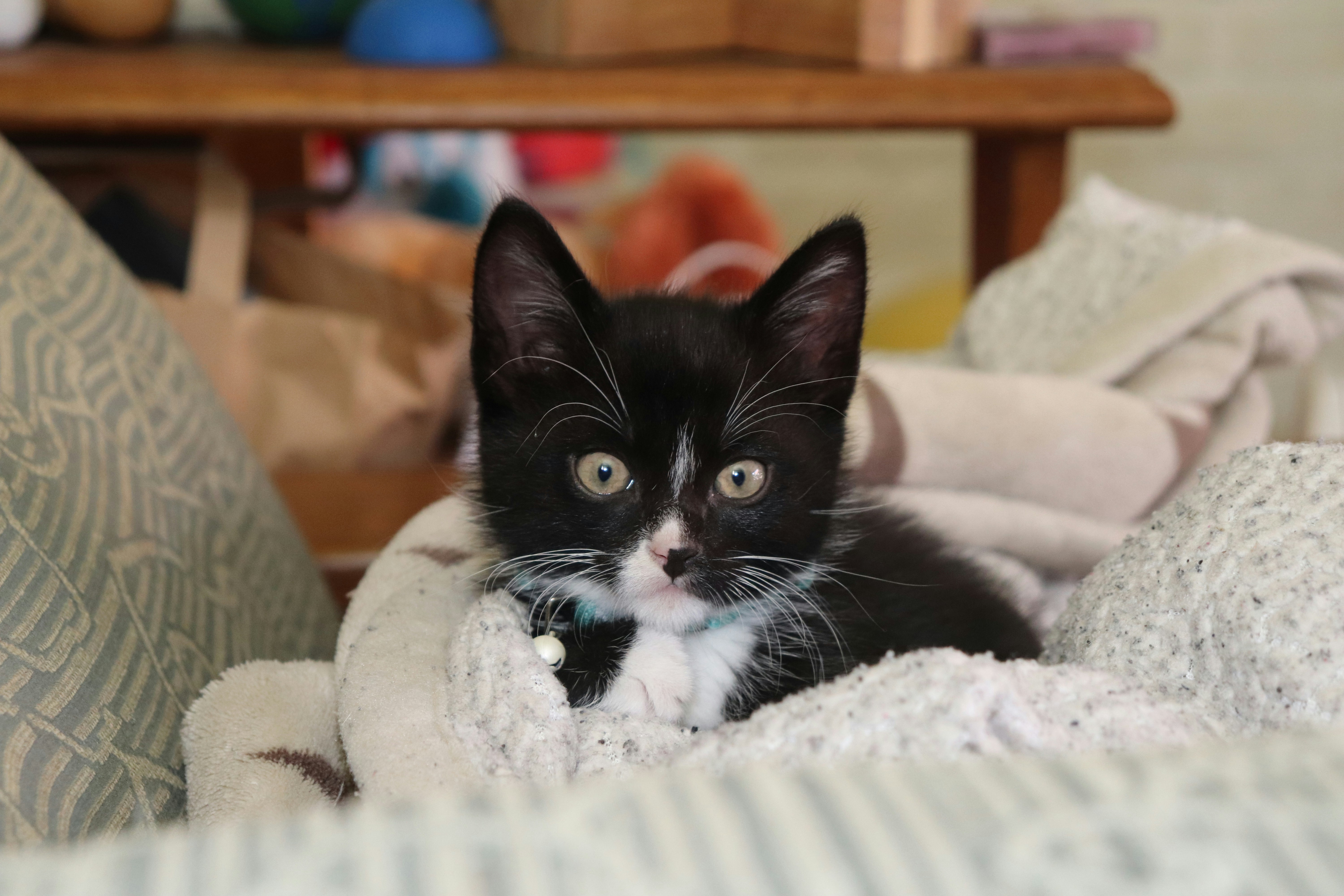 Photo by femkebeirens