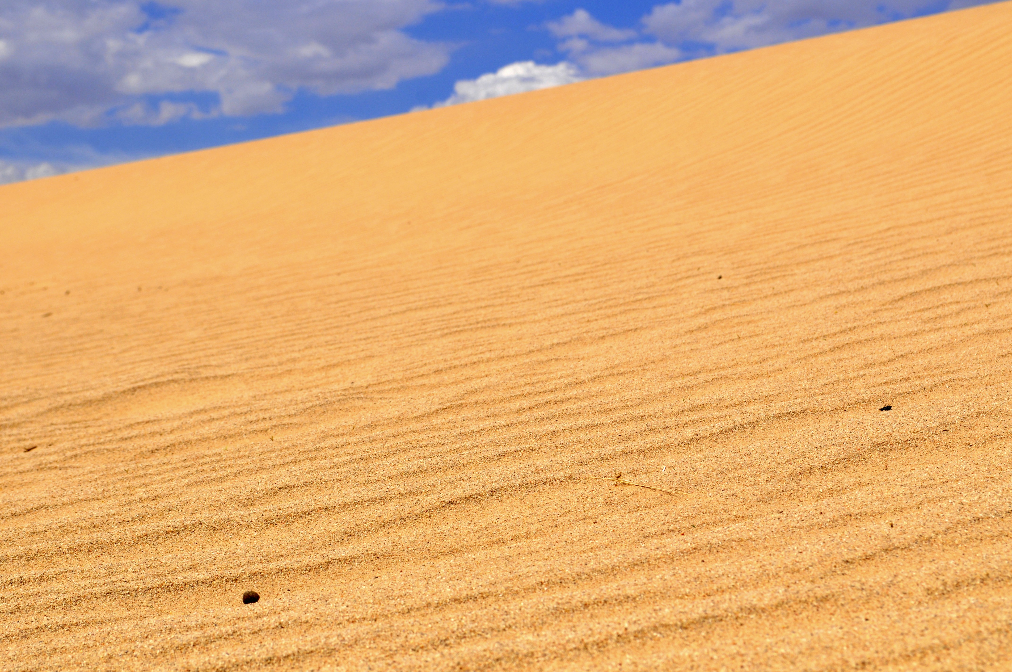 a large flat area with a blue sky