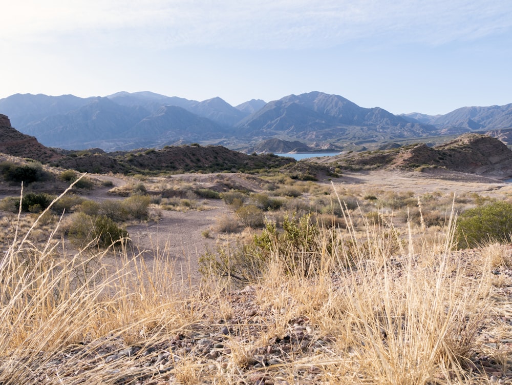 Un paisaje con colinas y hierba