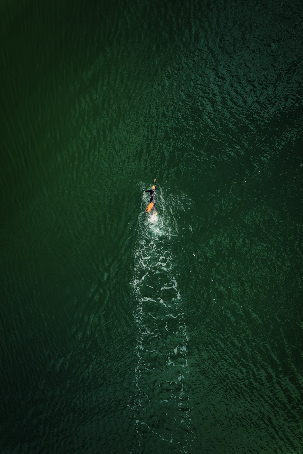 a person in a body of water