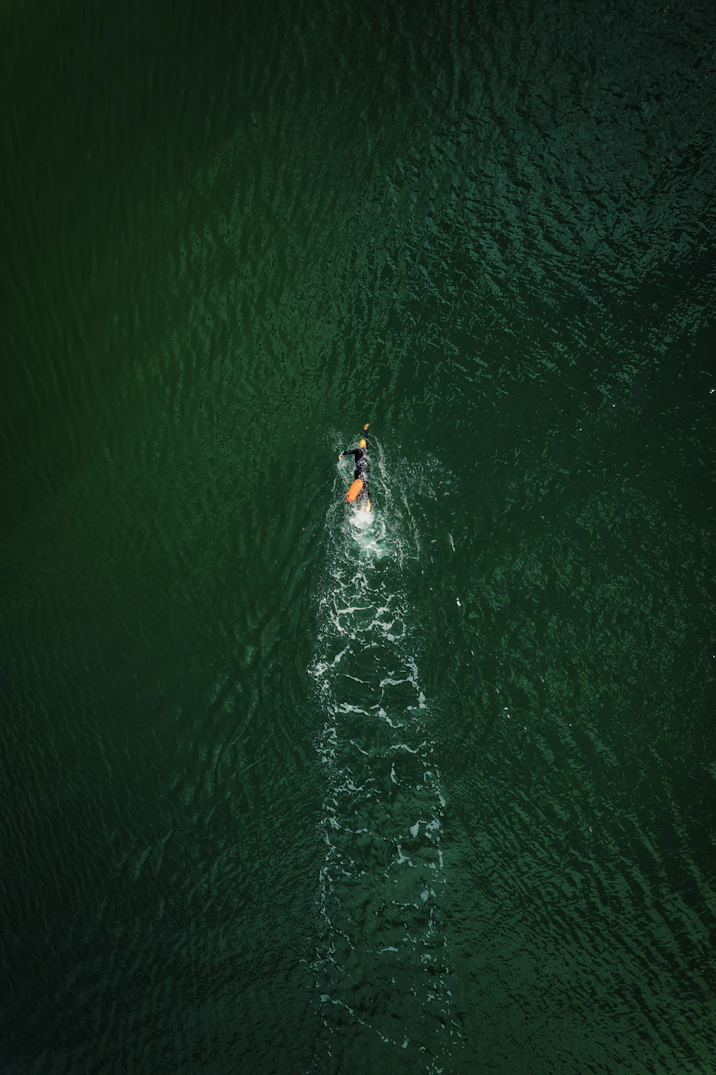Athlet beim Schwimmtraining im Freiwasser – Vorbereitung auf die Ironman-Langdistanz