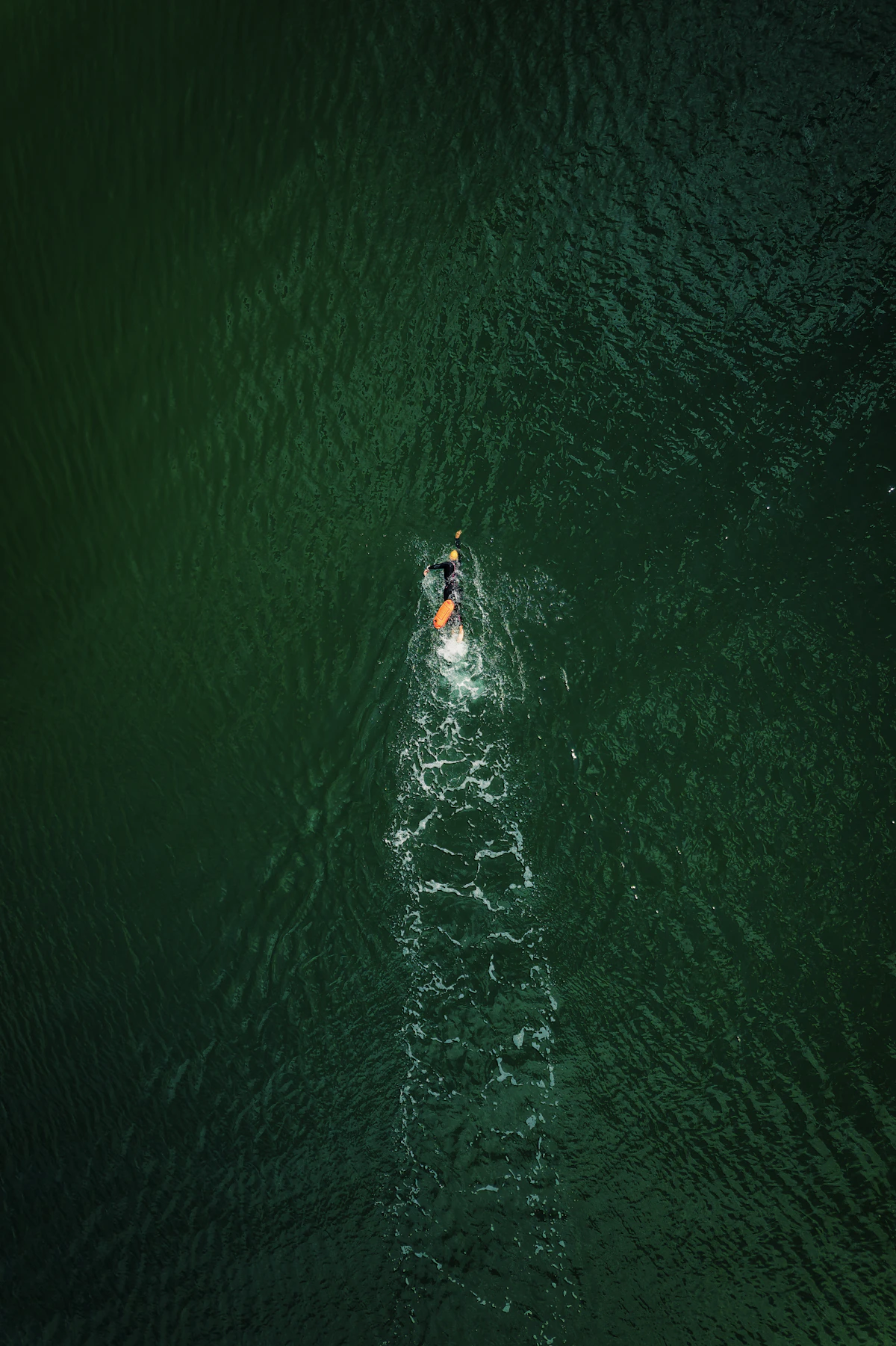Open water swimmer