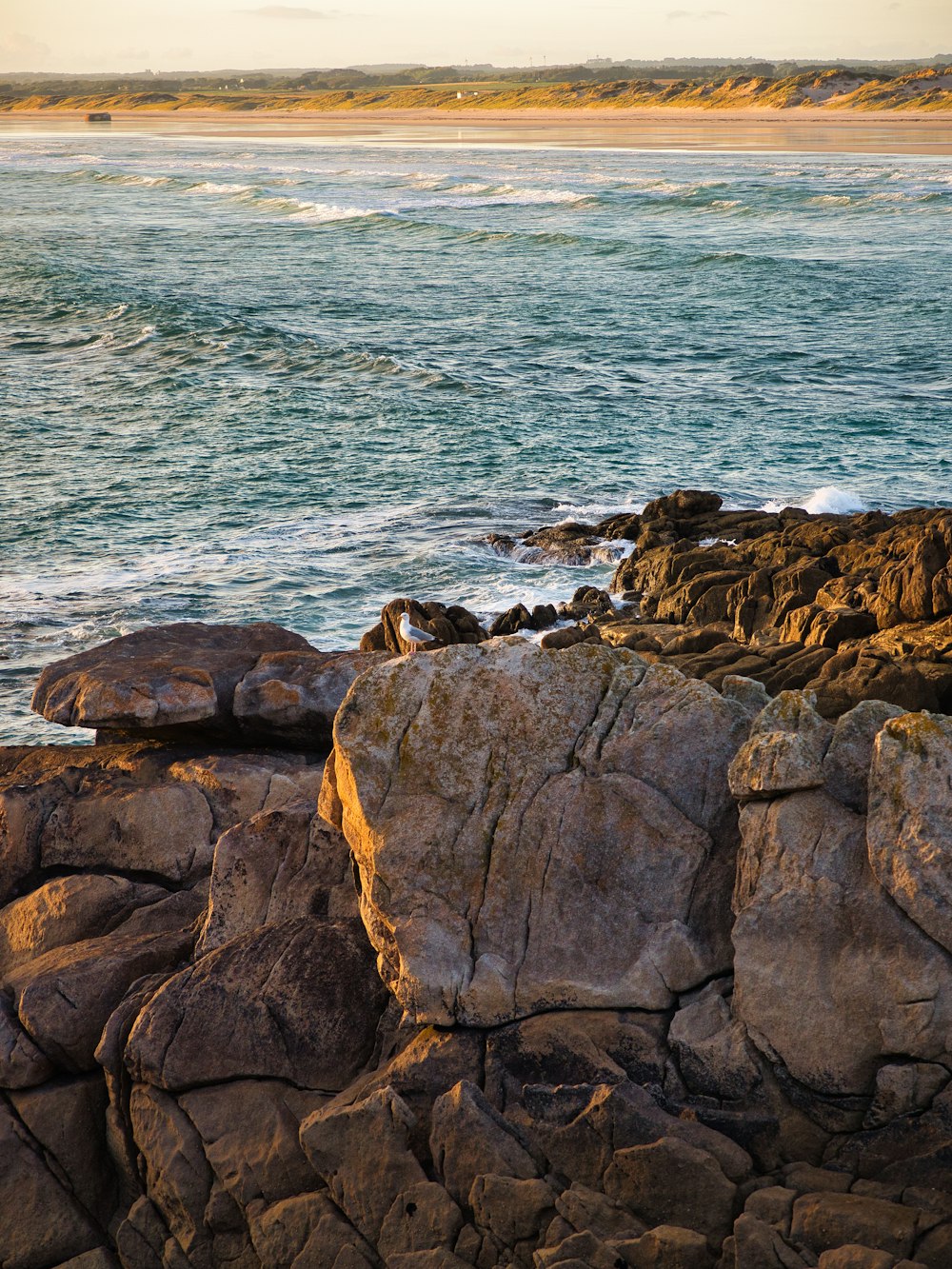 a rocky beach with a body of water in the background