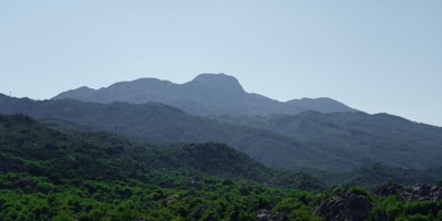a landscape with trees and hills