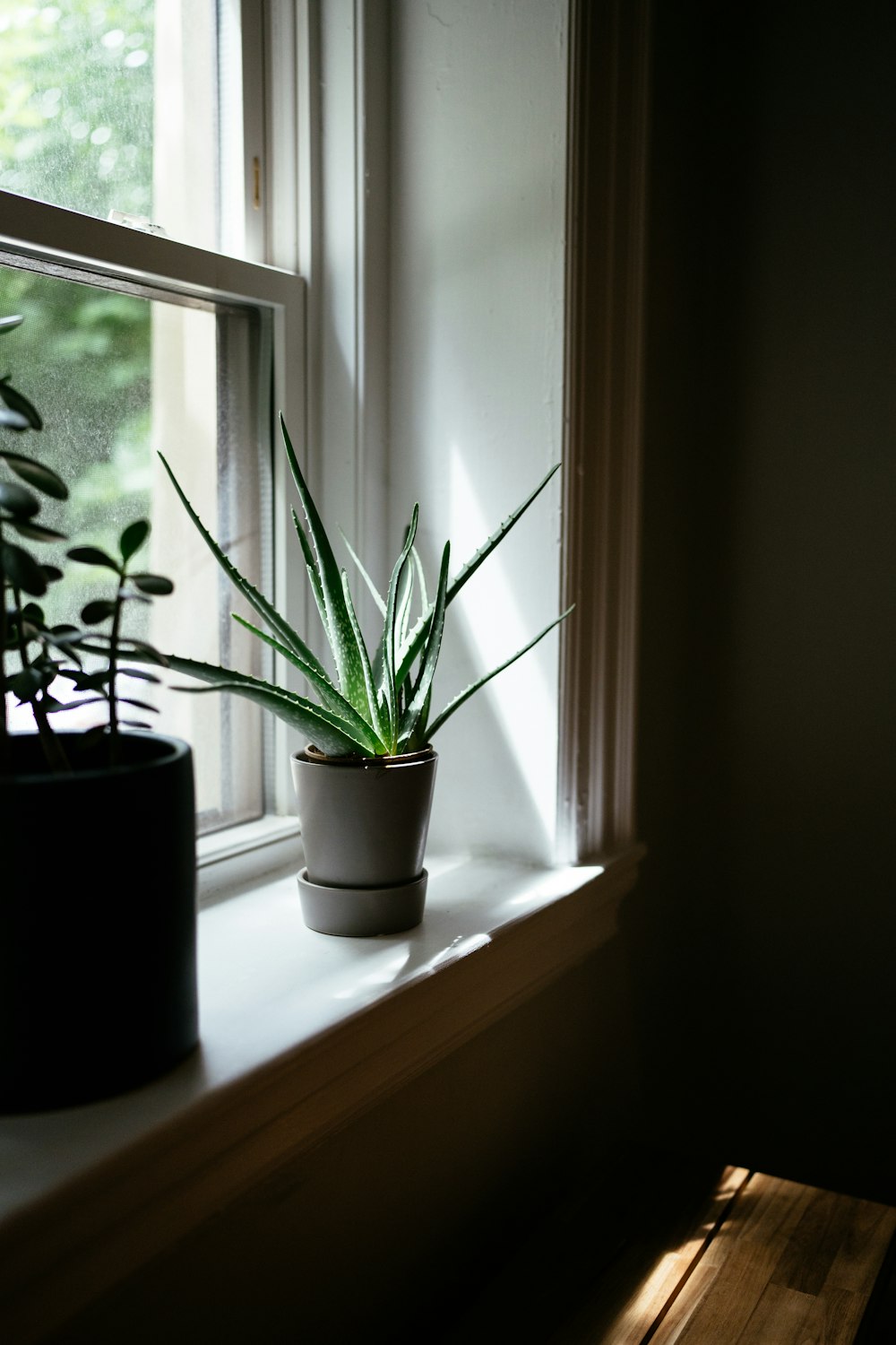 a vase of flowers on a table next to a window