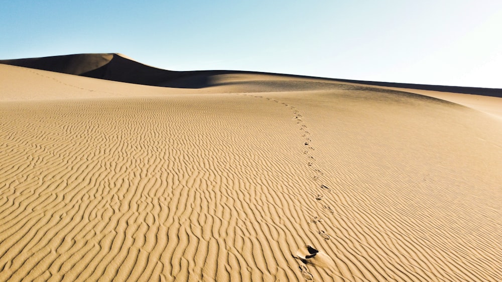 a large desert landscape