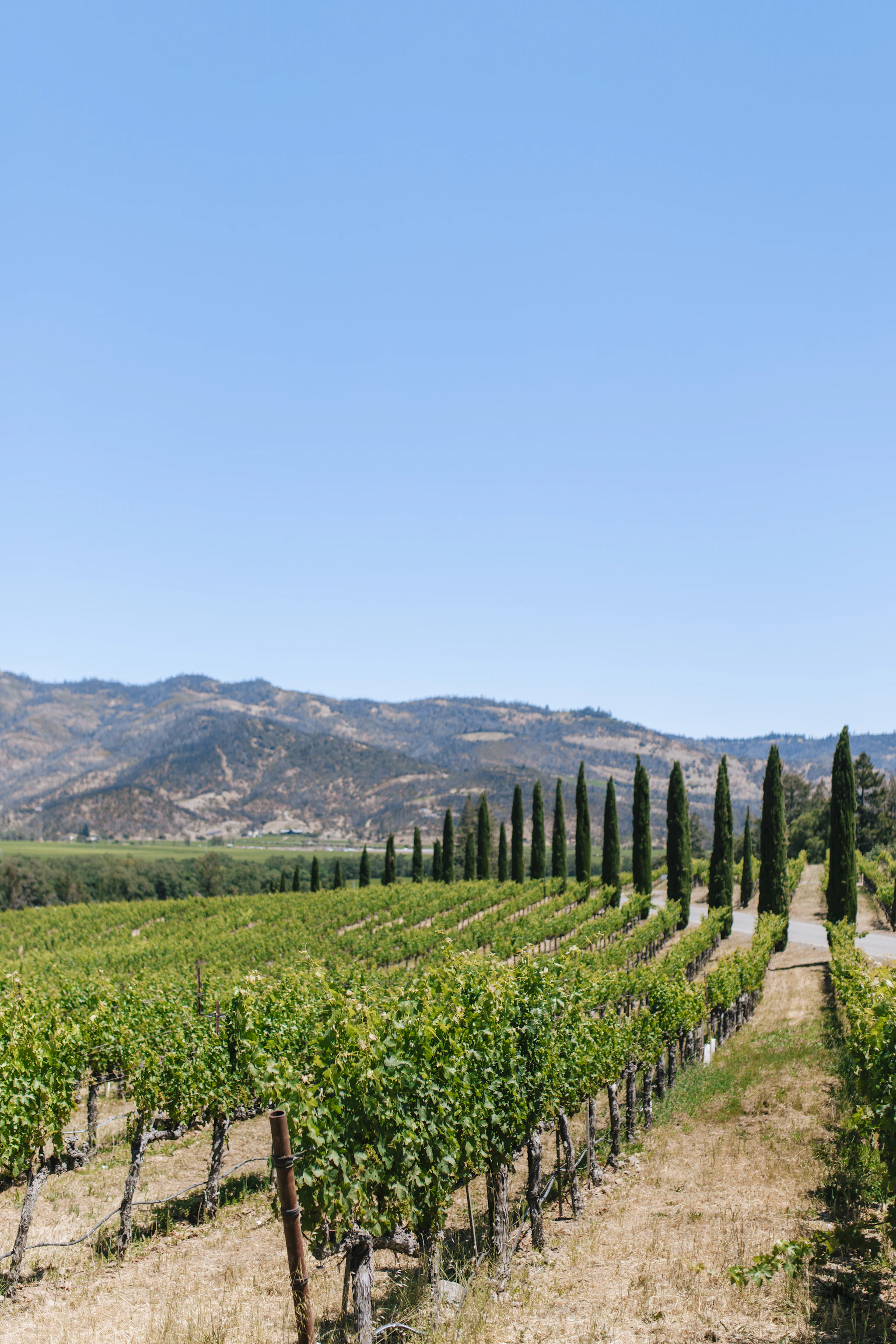 Napa Valley