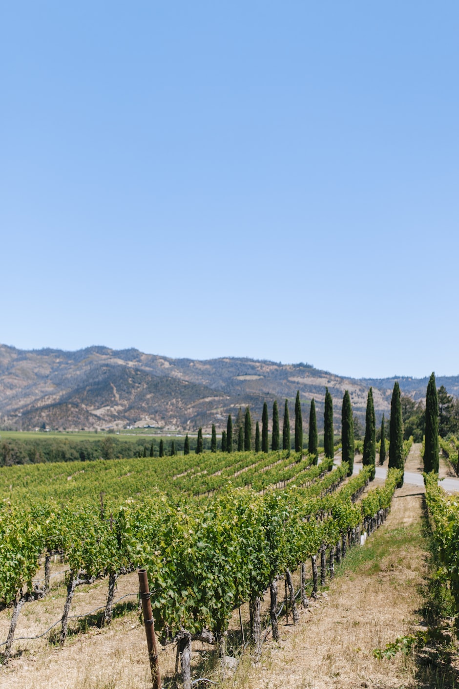 Napa Valley