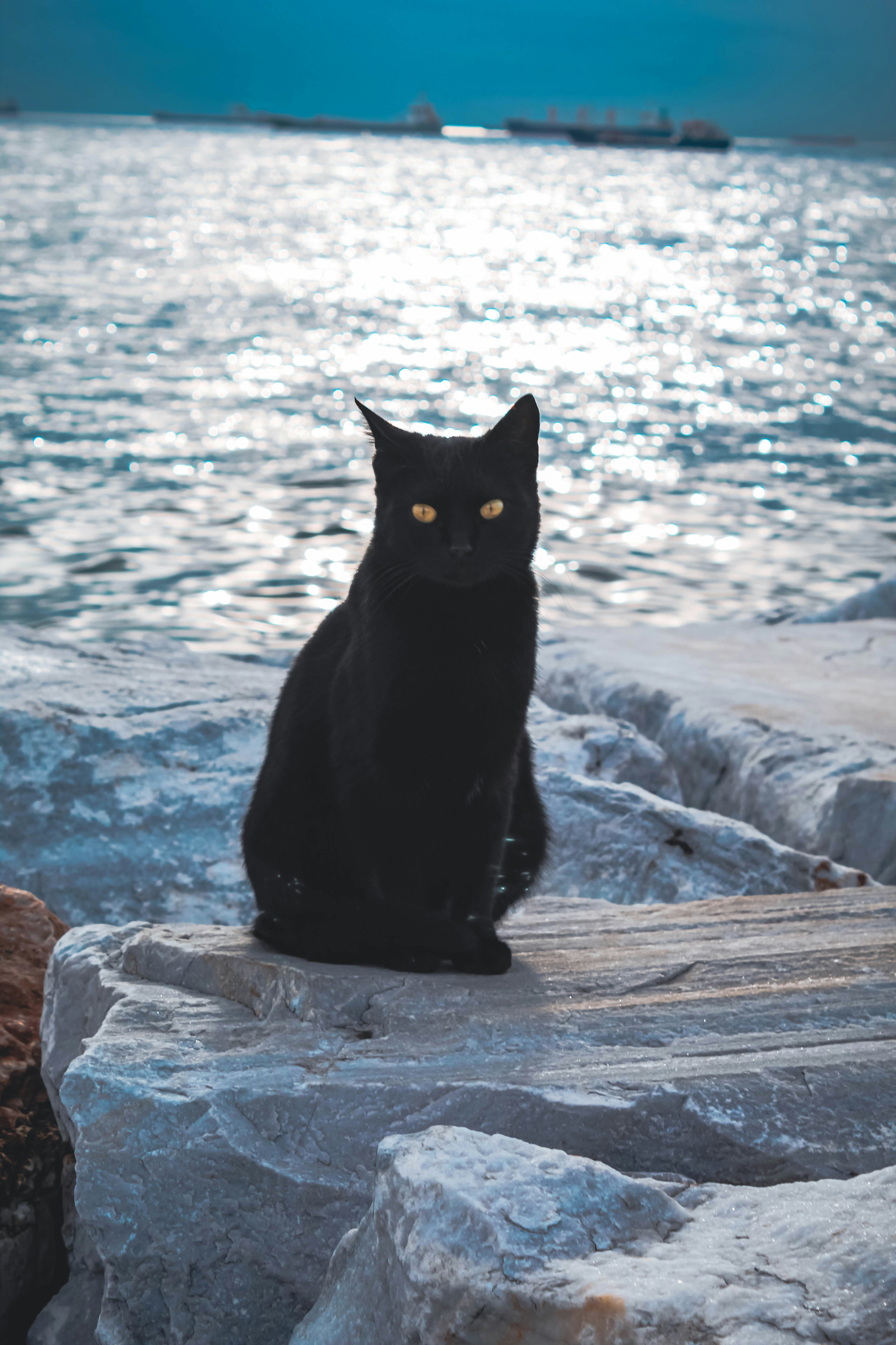 Photo by danaalhameed