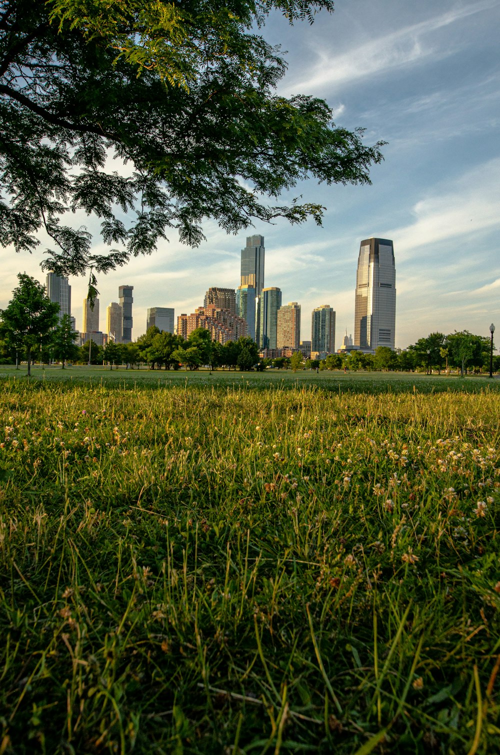 a grassy field with a city in the background