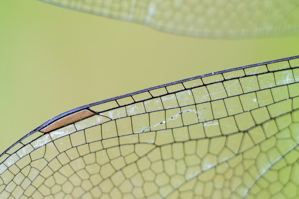 a close-up of a circuit board