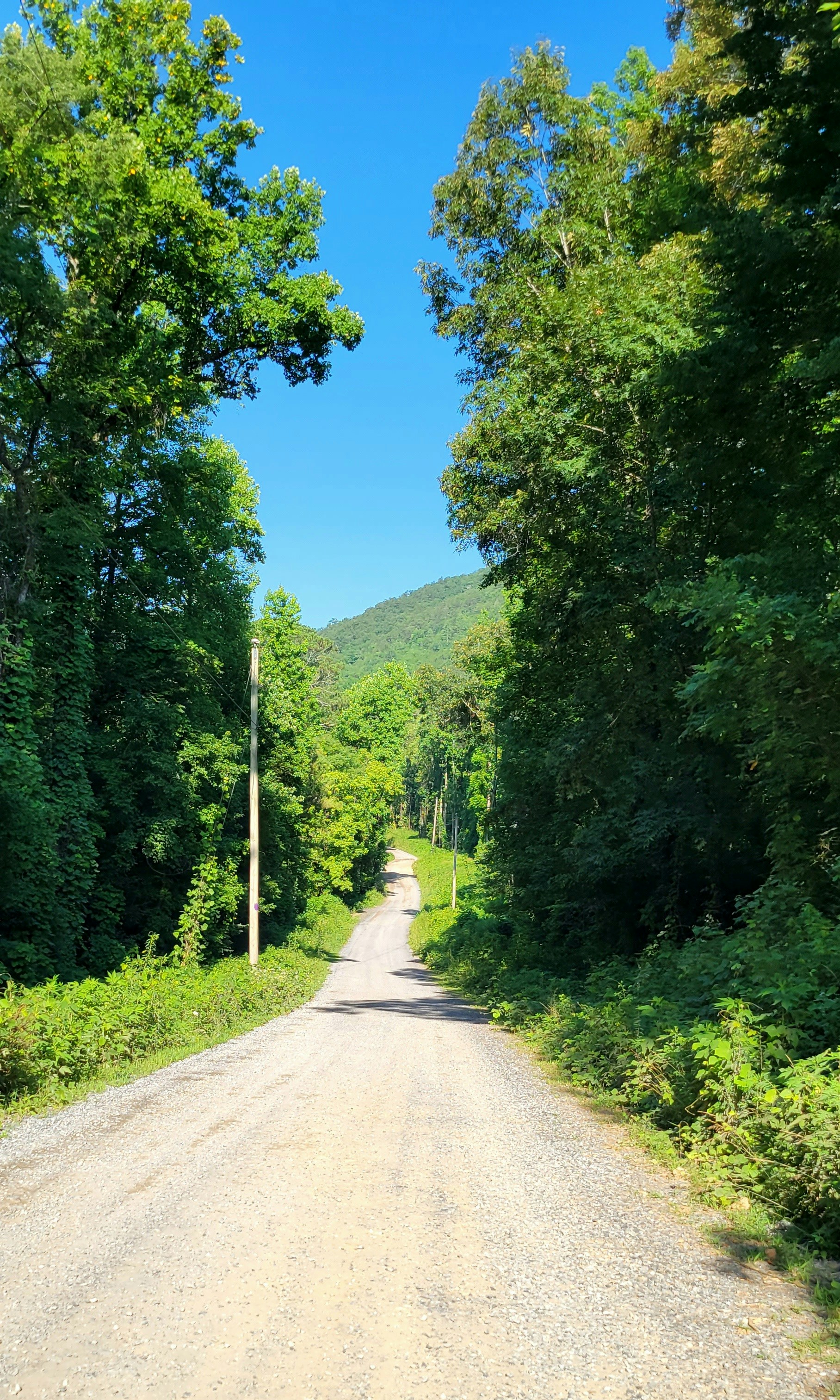 Photo by sierra_williams00