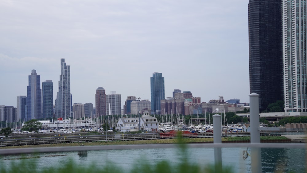 a body of water with buildings in the background