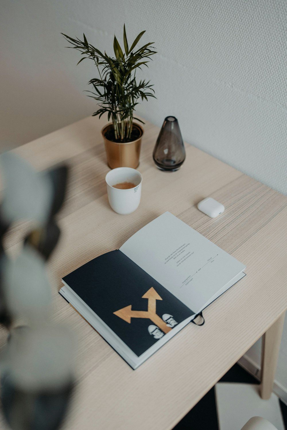 a plant and a book on a table