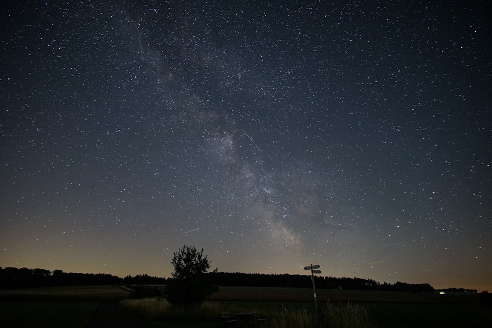 a starry night sky over a field