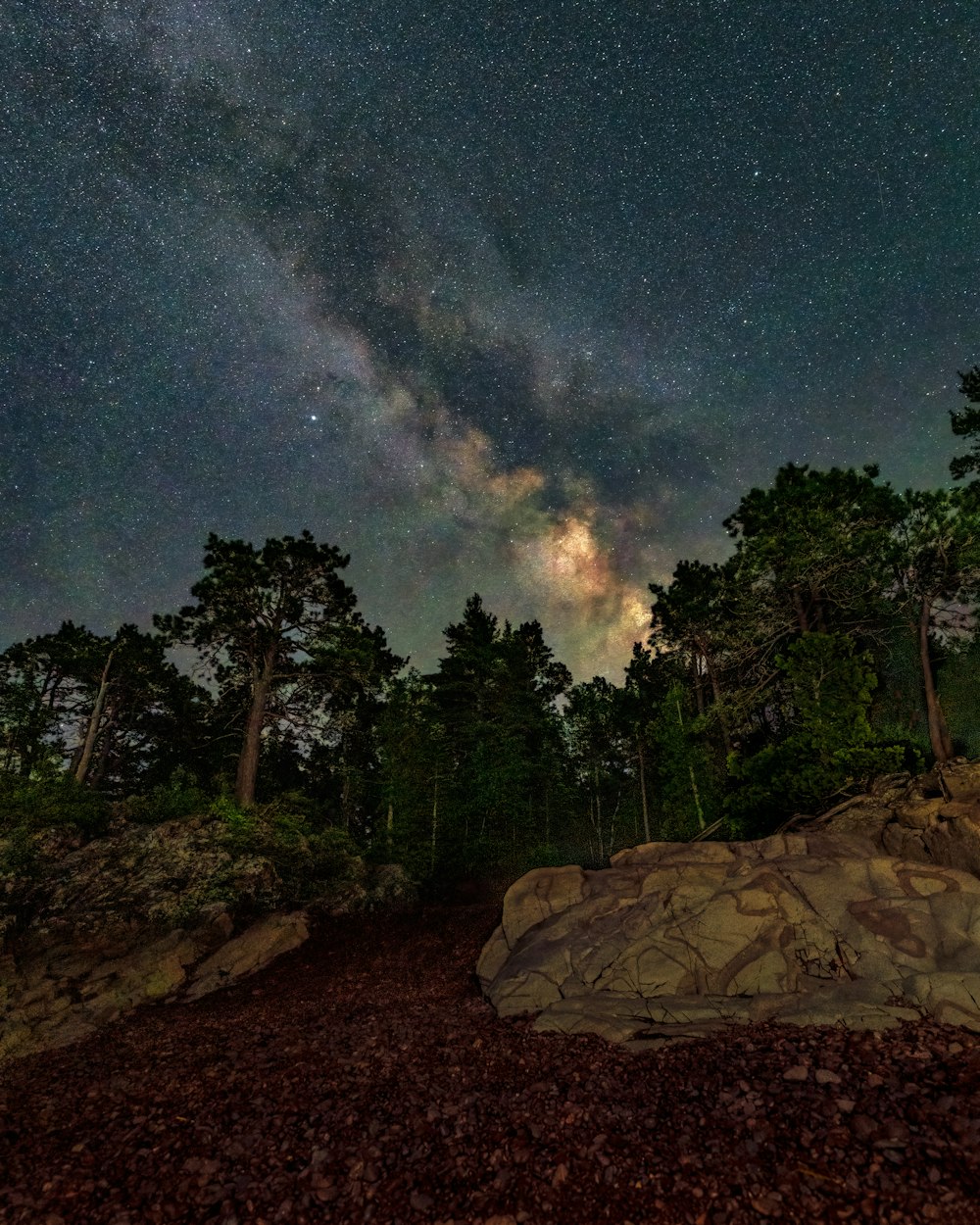 a rocky area with trees and stars in the sky