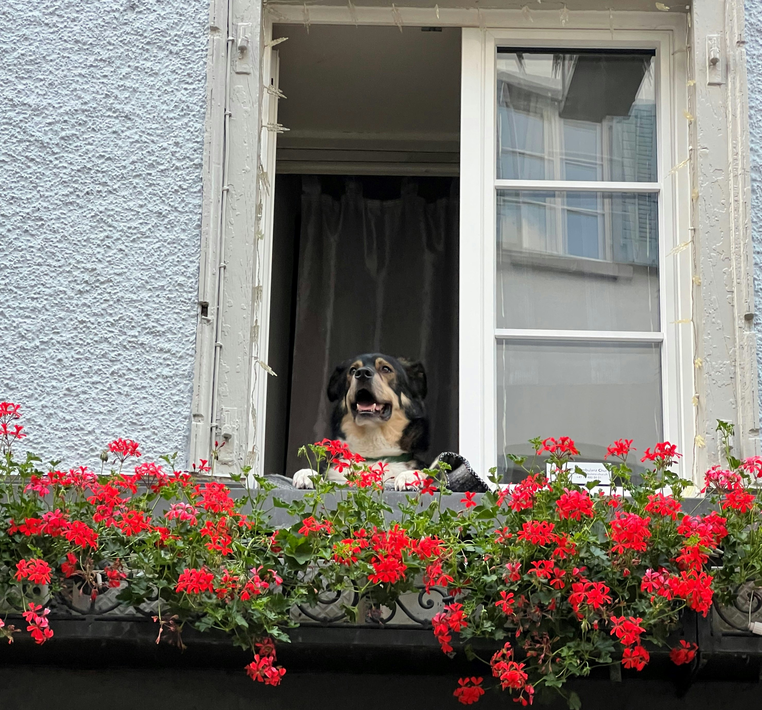 Photo by mike_loftus