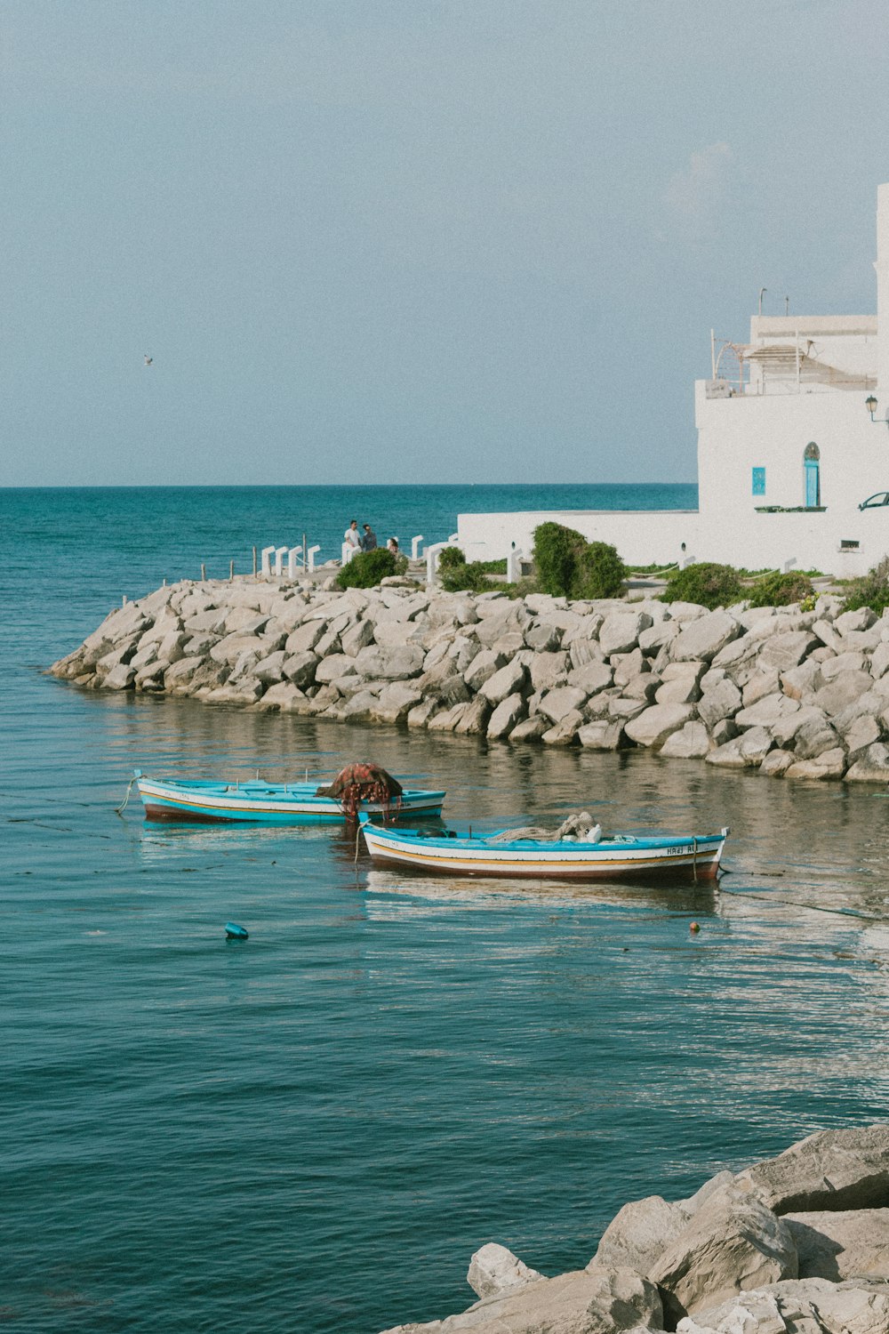 a dog on a boat in the water