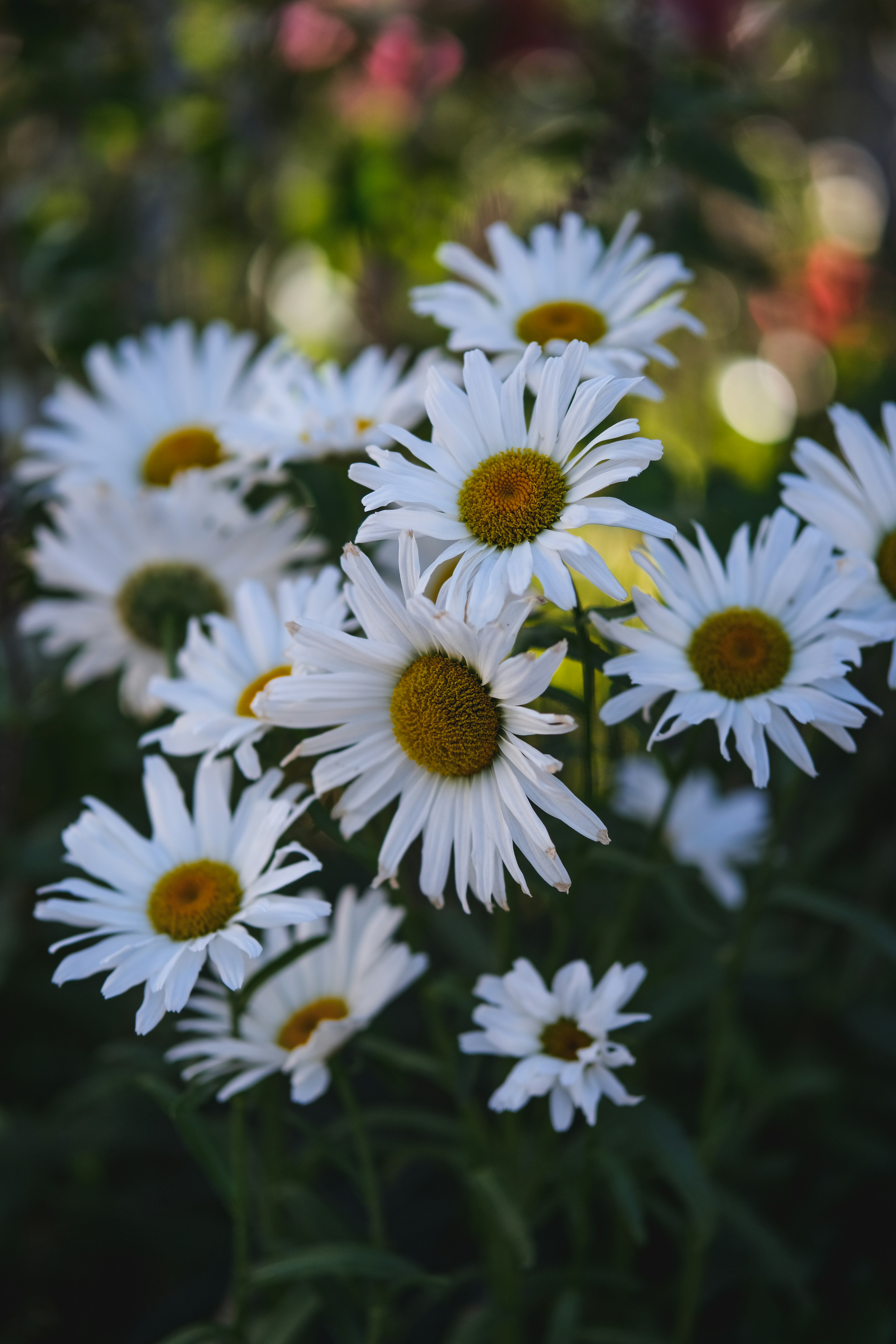 Photo by rolig_basseng