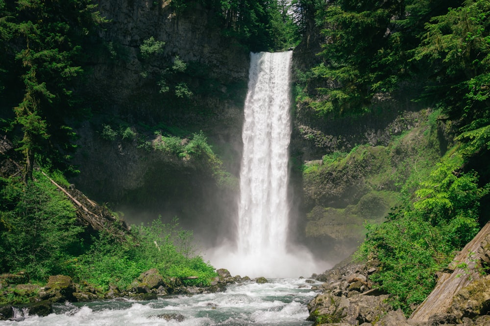 a waterfall in a forest