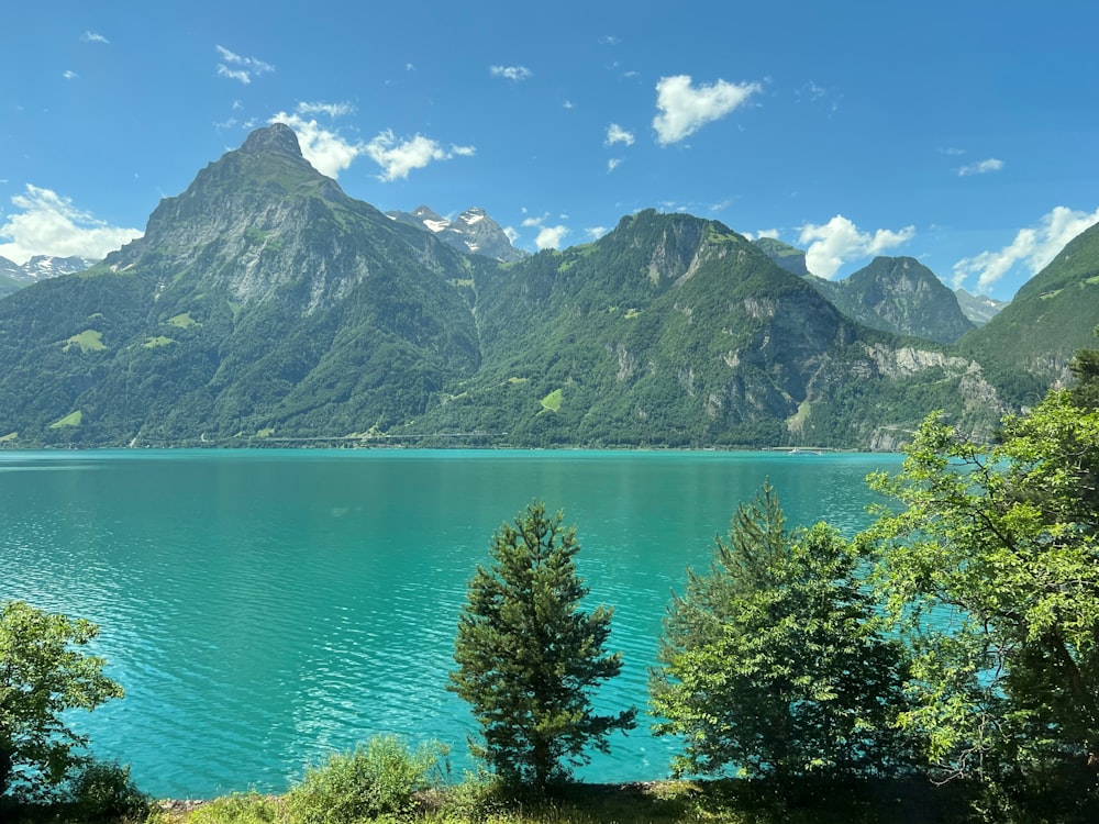 a body of water with trees and mountains in the background