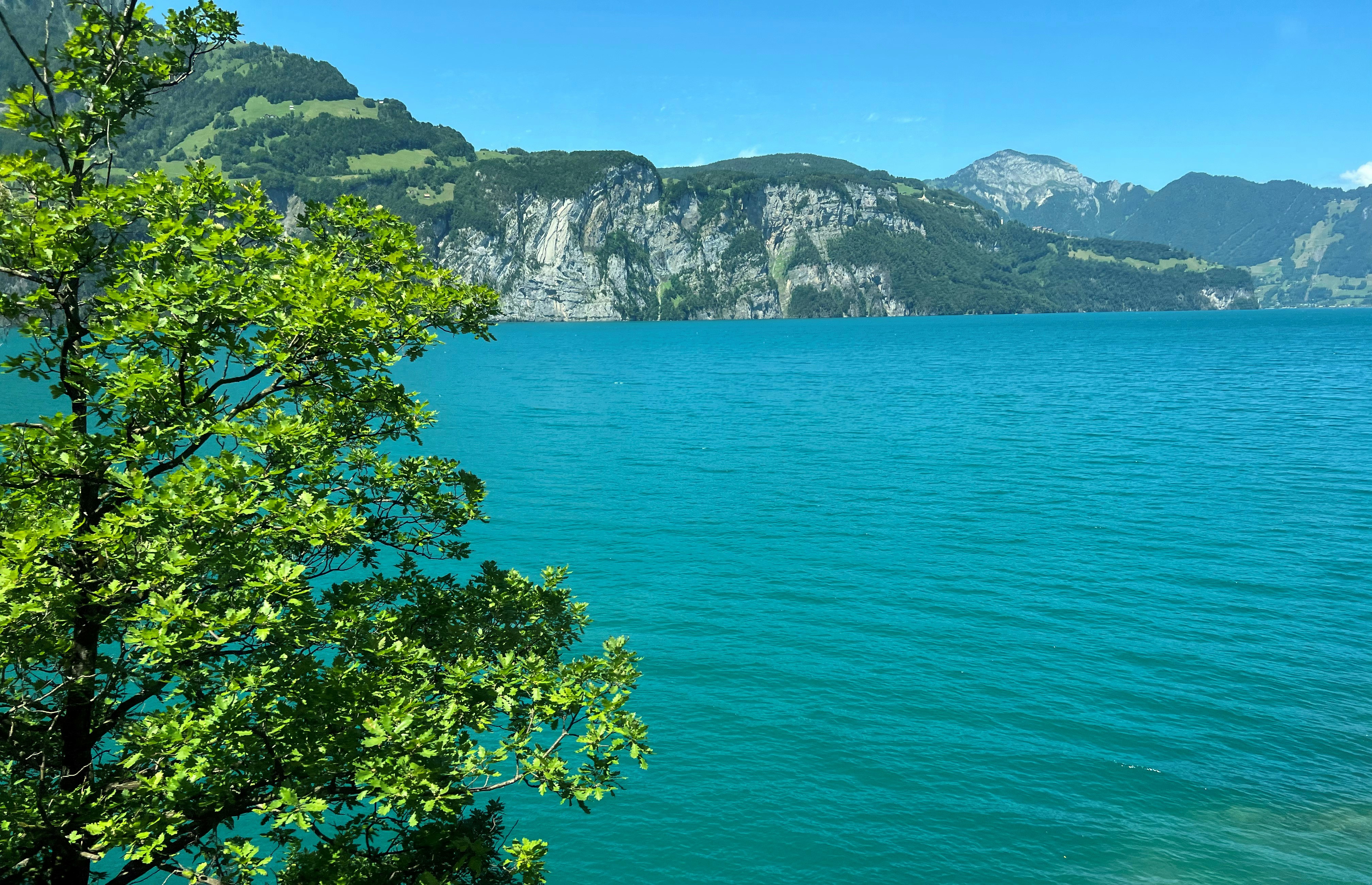 Photo by mike_loftus