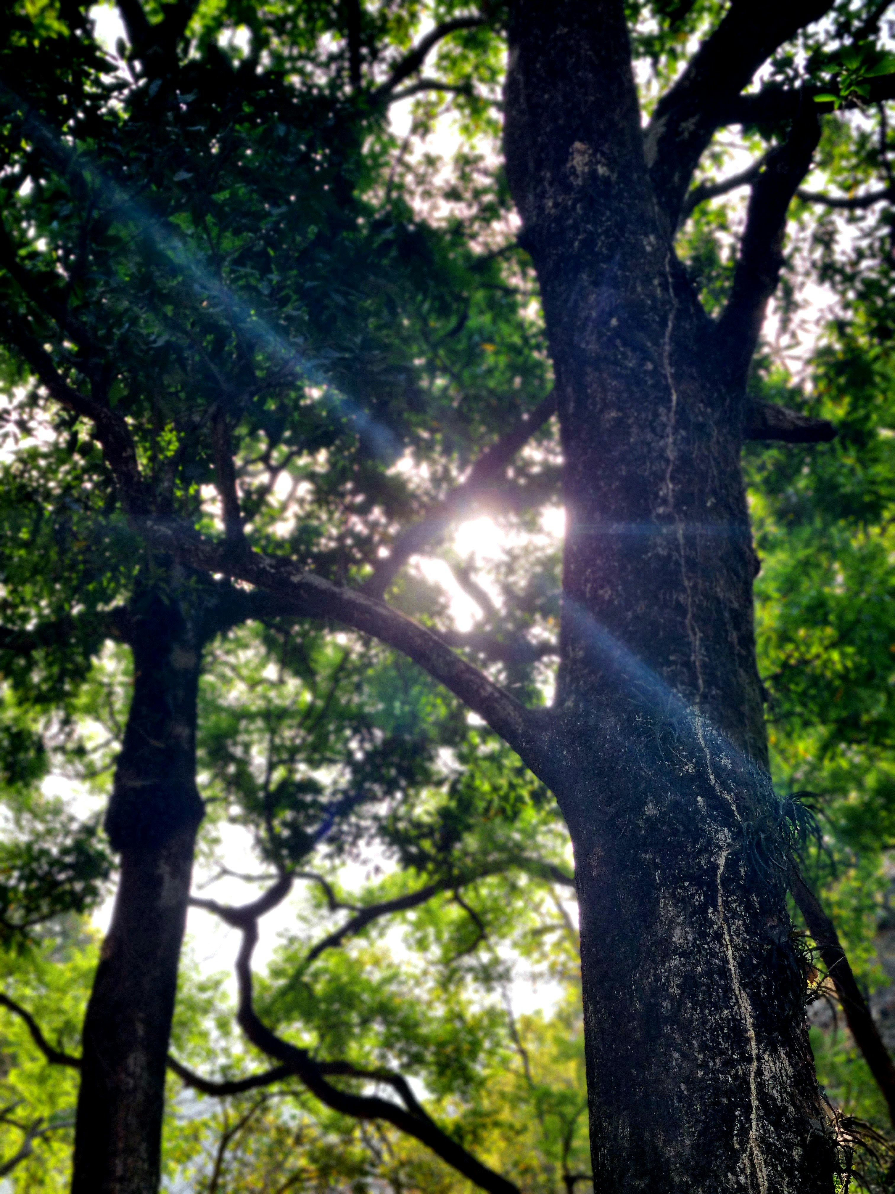 Photo by ap00rvverma