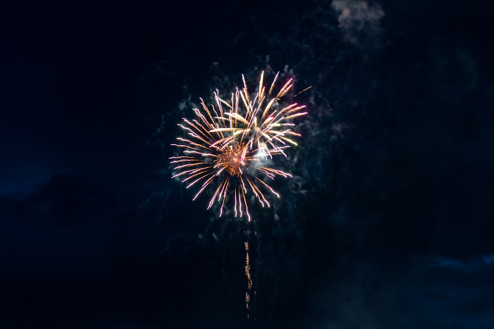 a firework in the sky