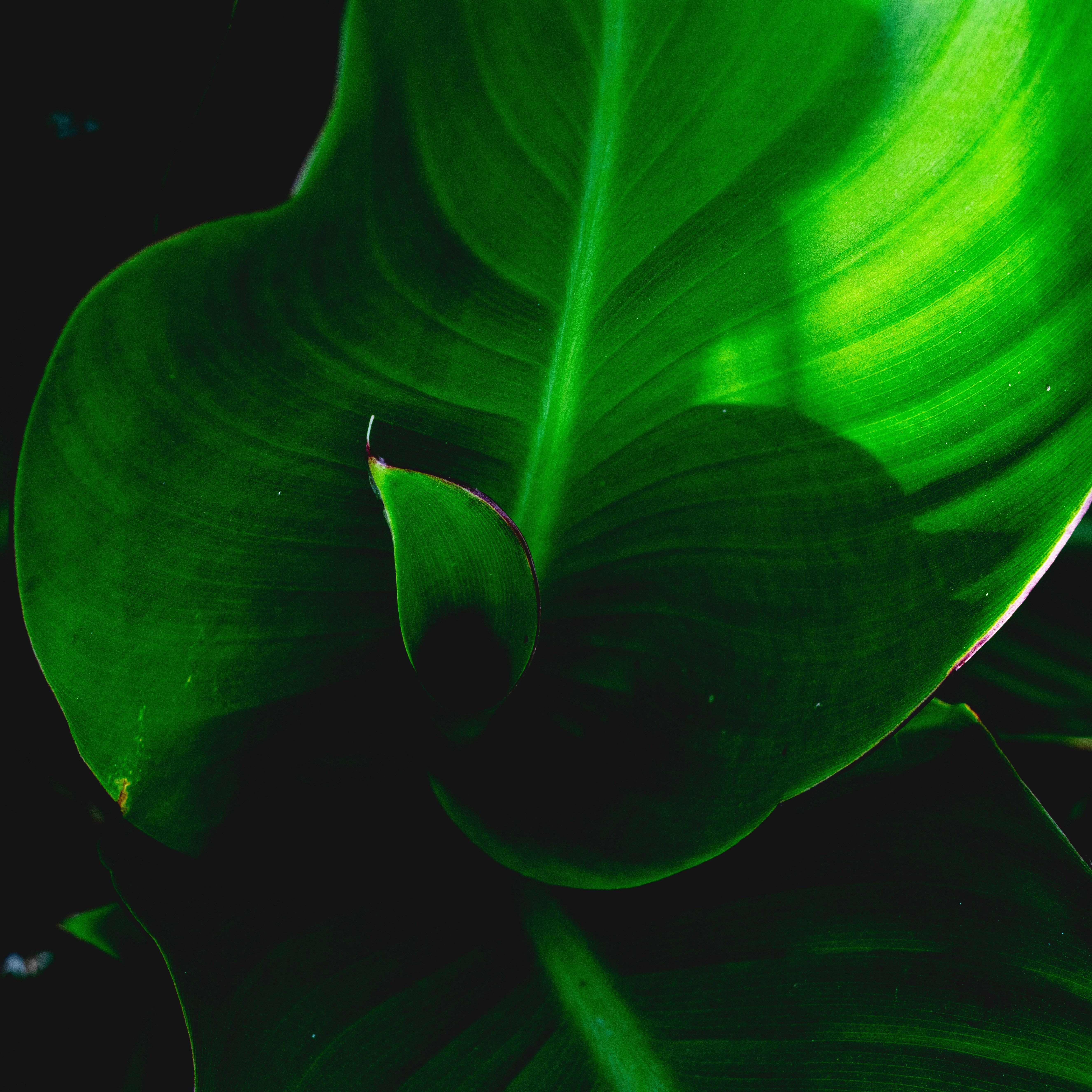 Photo by hyggesalpaka