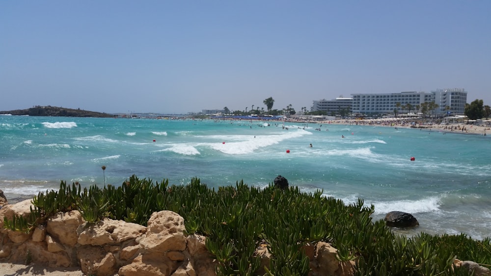 a beach with people swimming in it