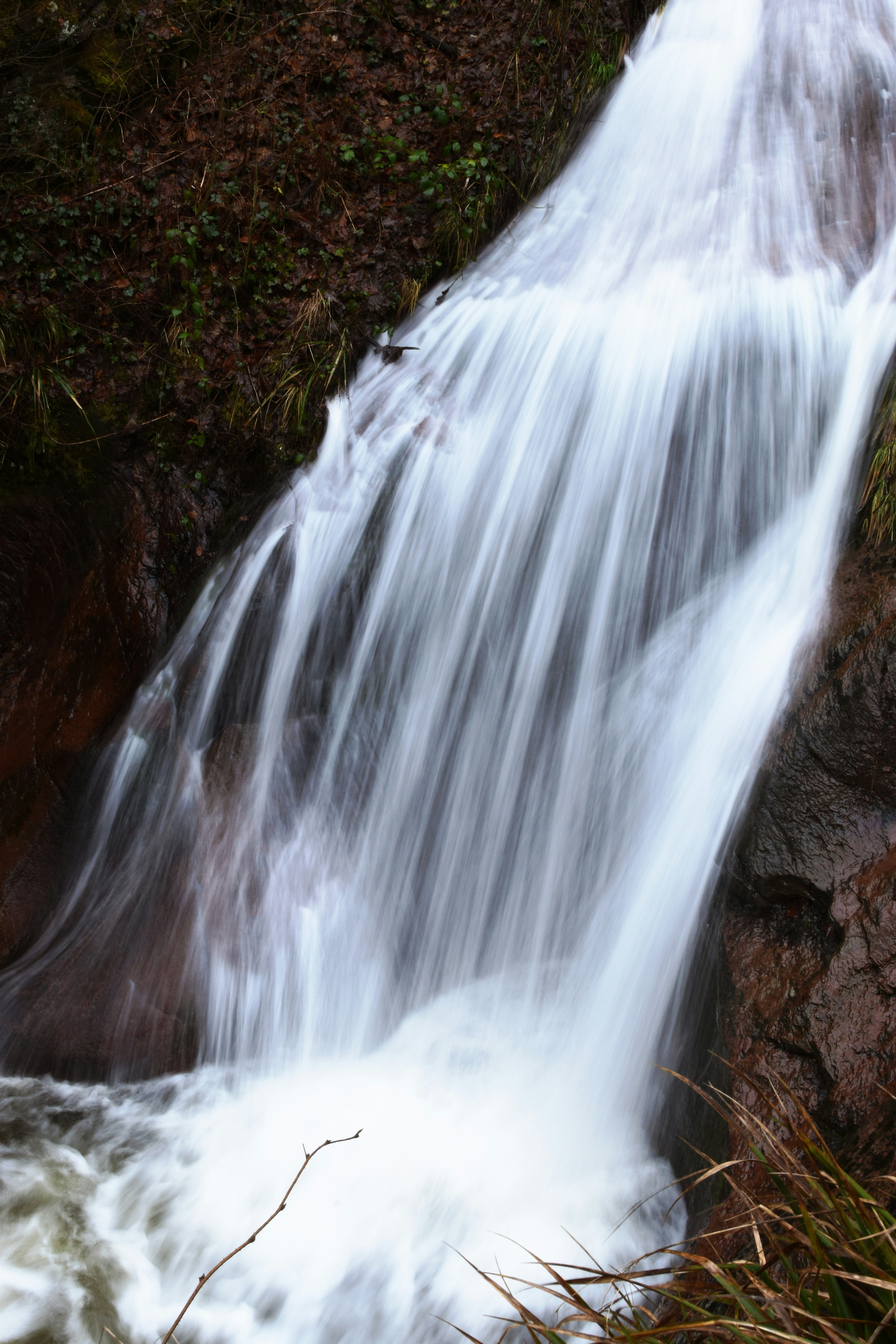 Photo by overwritebyvera