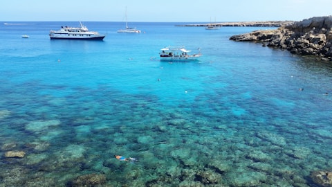 boats in the water