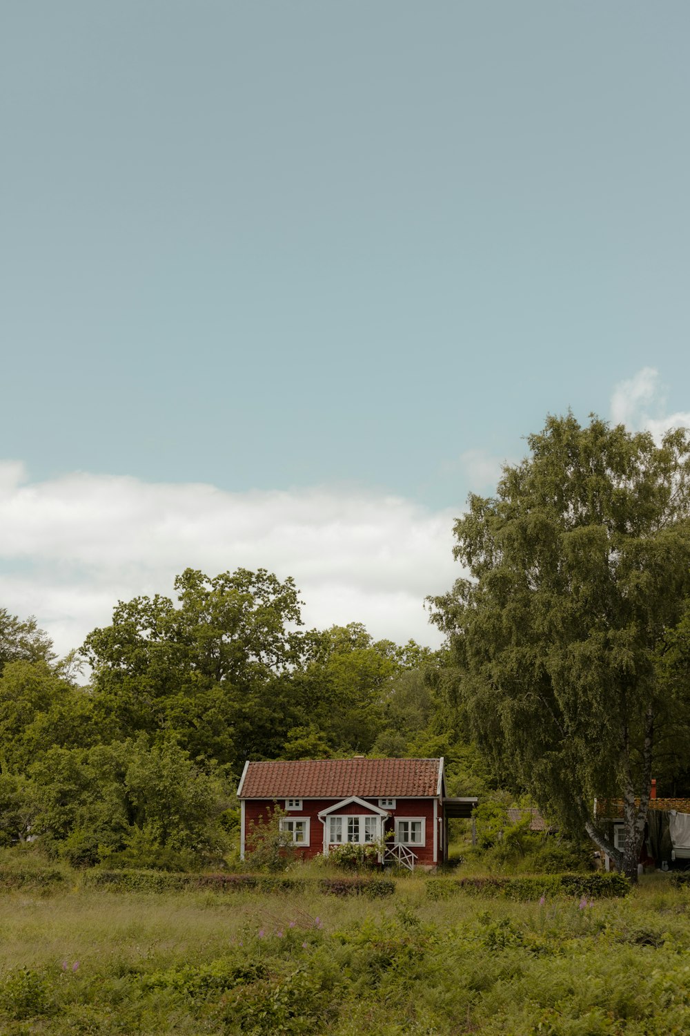 a red house surrounded by trees